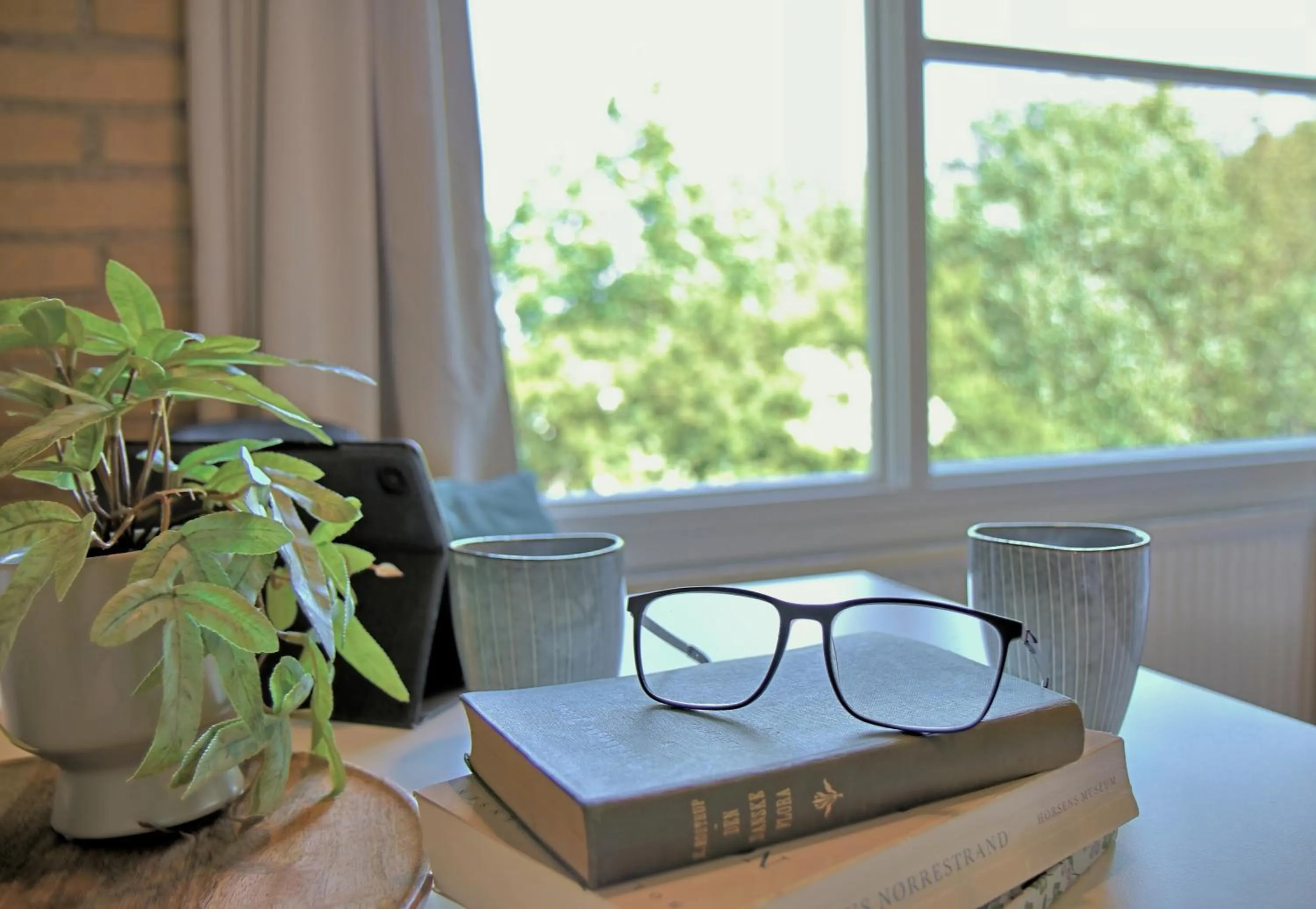 View (from property/room) in Flinten Horsens