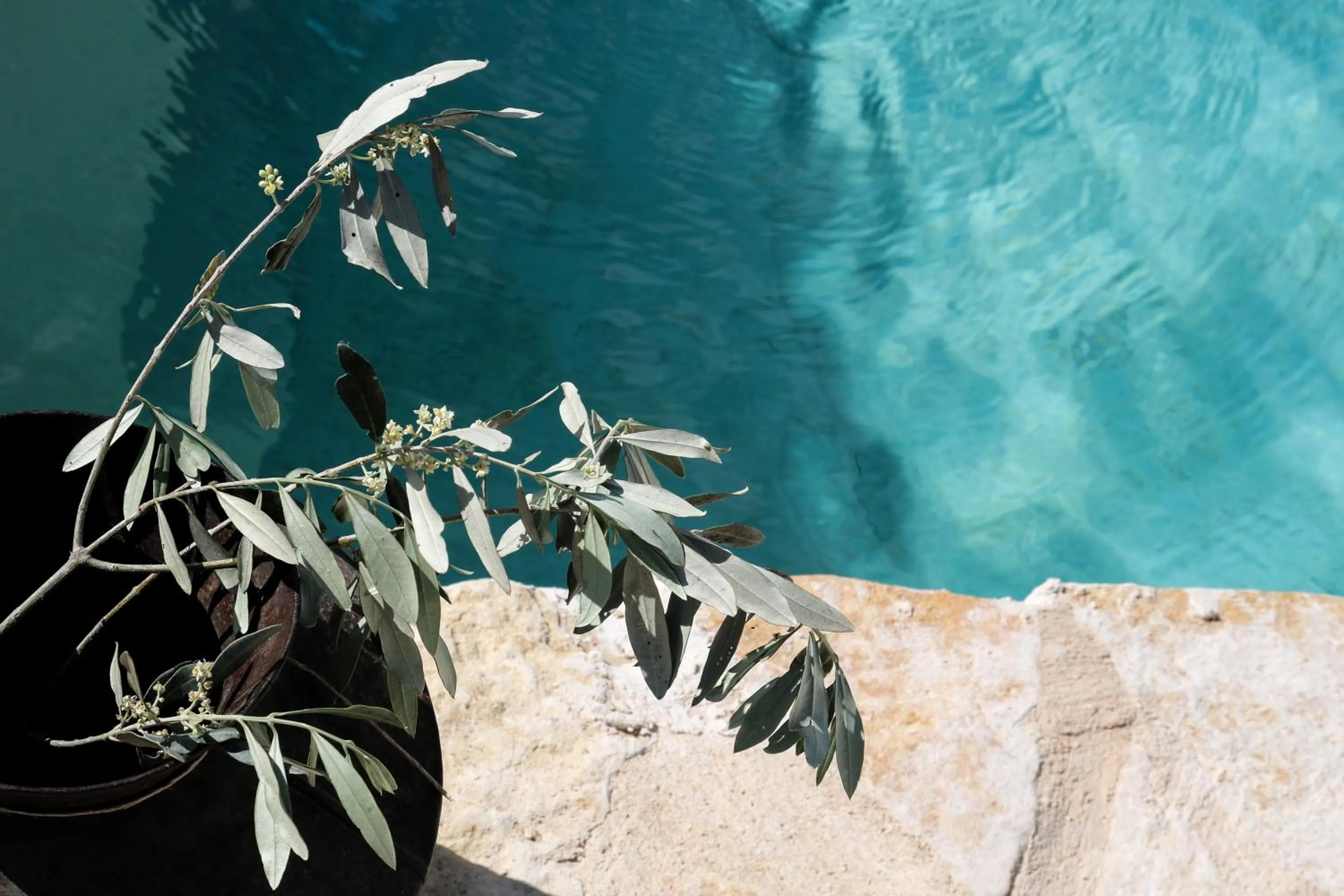 Swimming pool in Habait ba Shomera