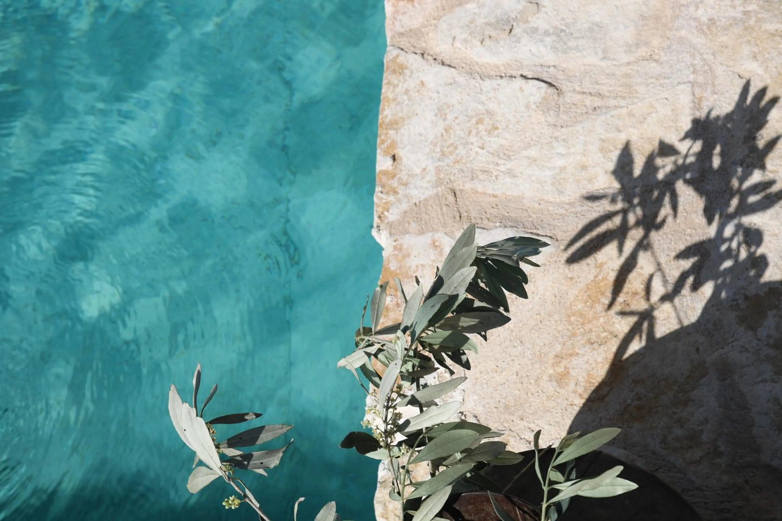 Swimming pool in Habait ba Shomera