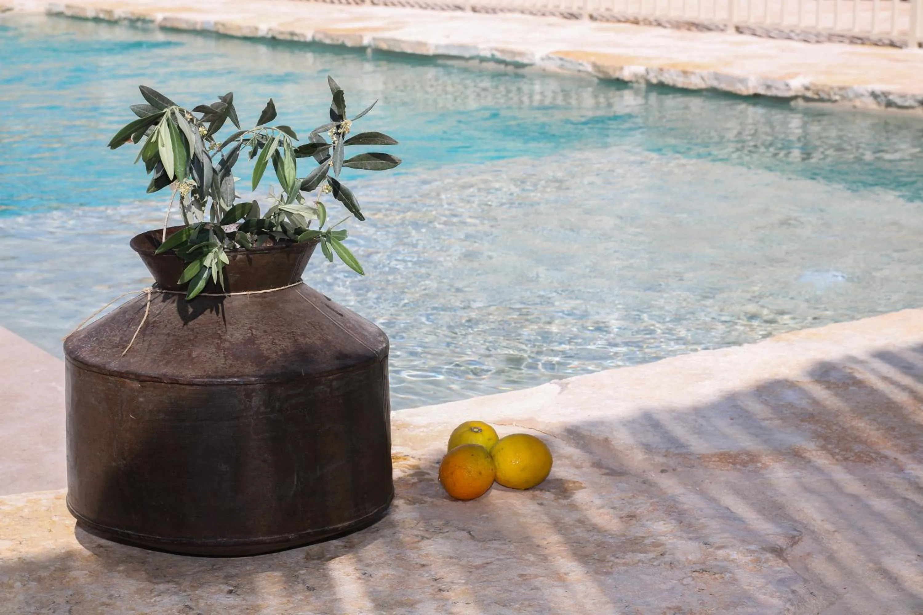 Swimming pool in Habait ba Shomera