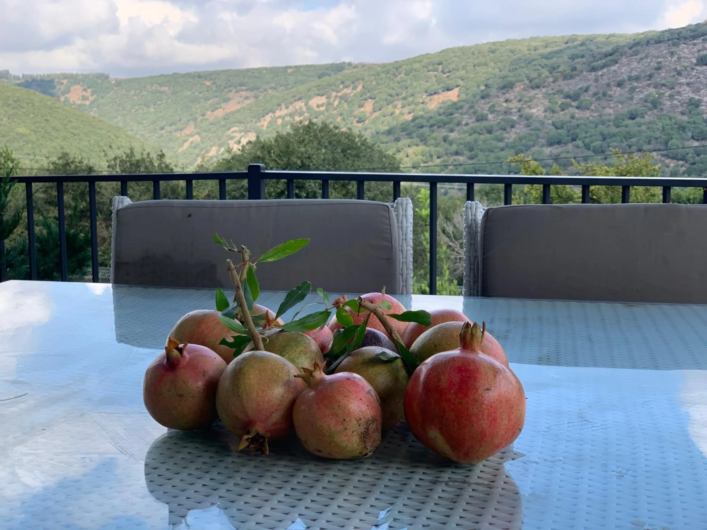 View (from property/room) in Habait ba Shomera