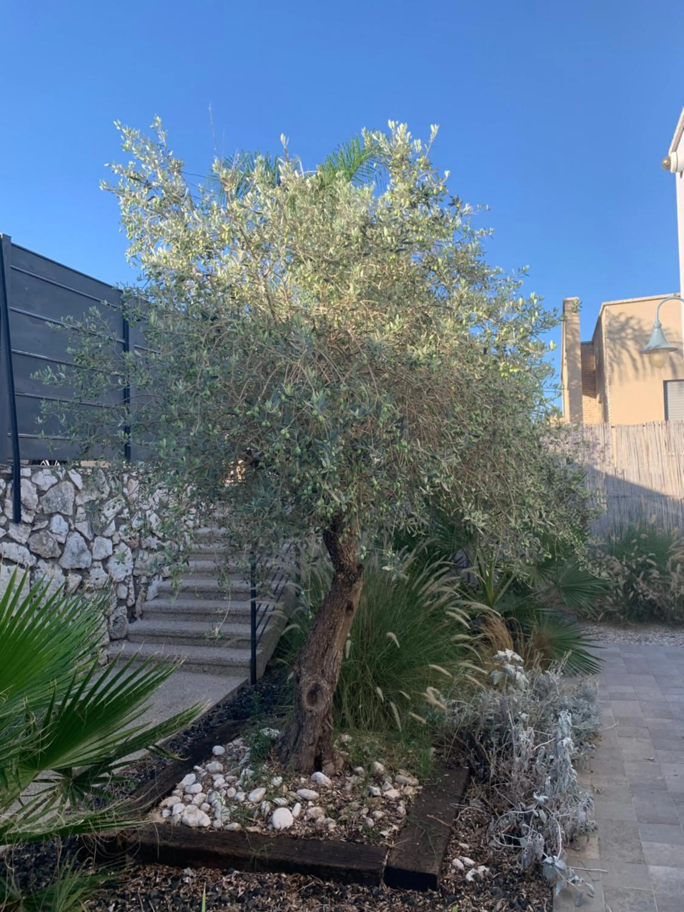 Property building in Habait ba Shomera
