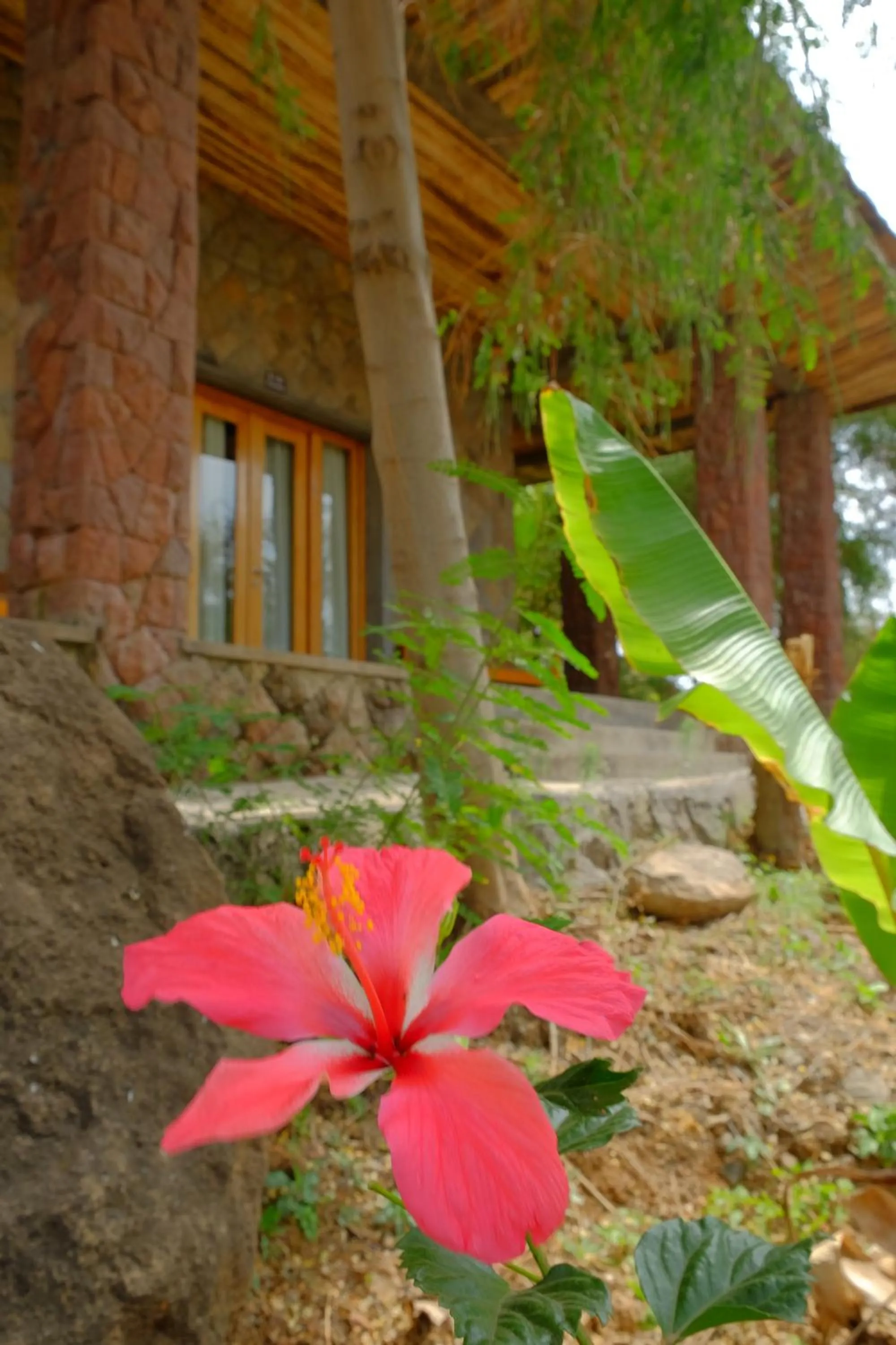 Garden view in Mezena Resort & SPA