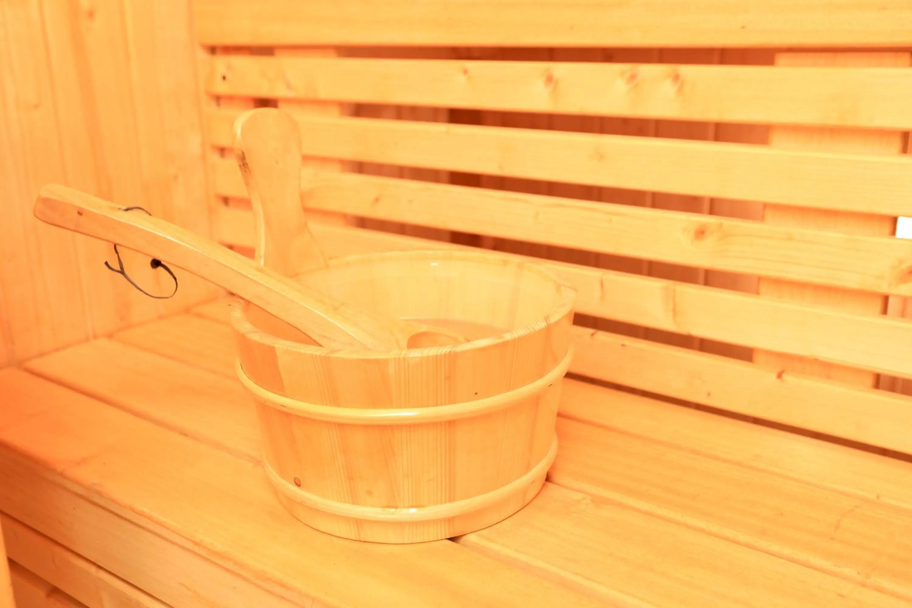 Sauna in Mezena Resort & SPA