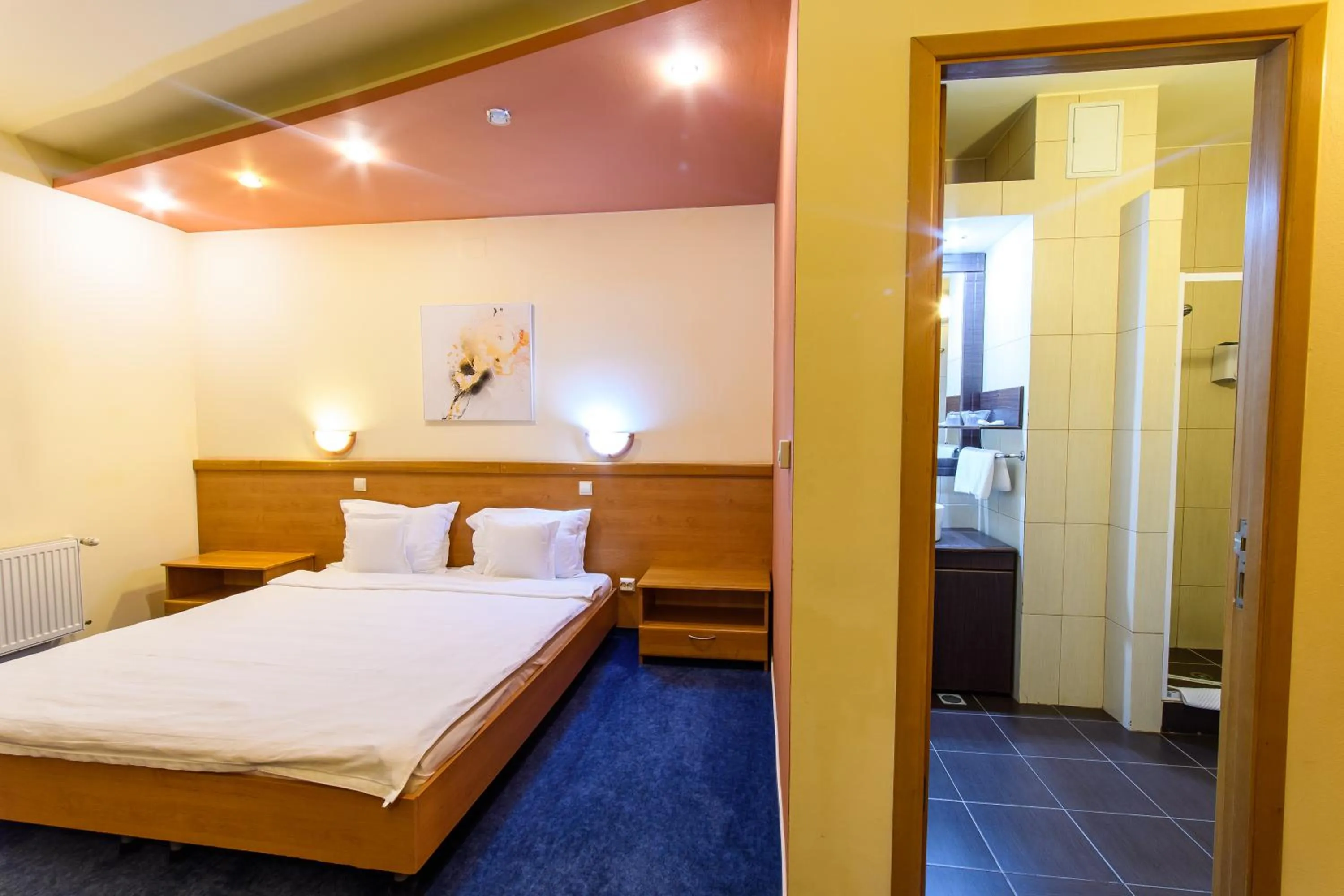 Bathroom, Bed in Hotel Torontal