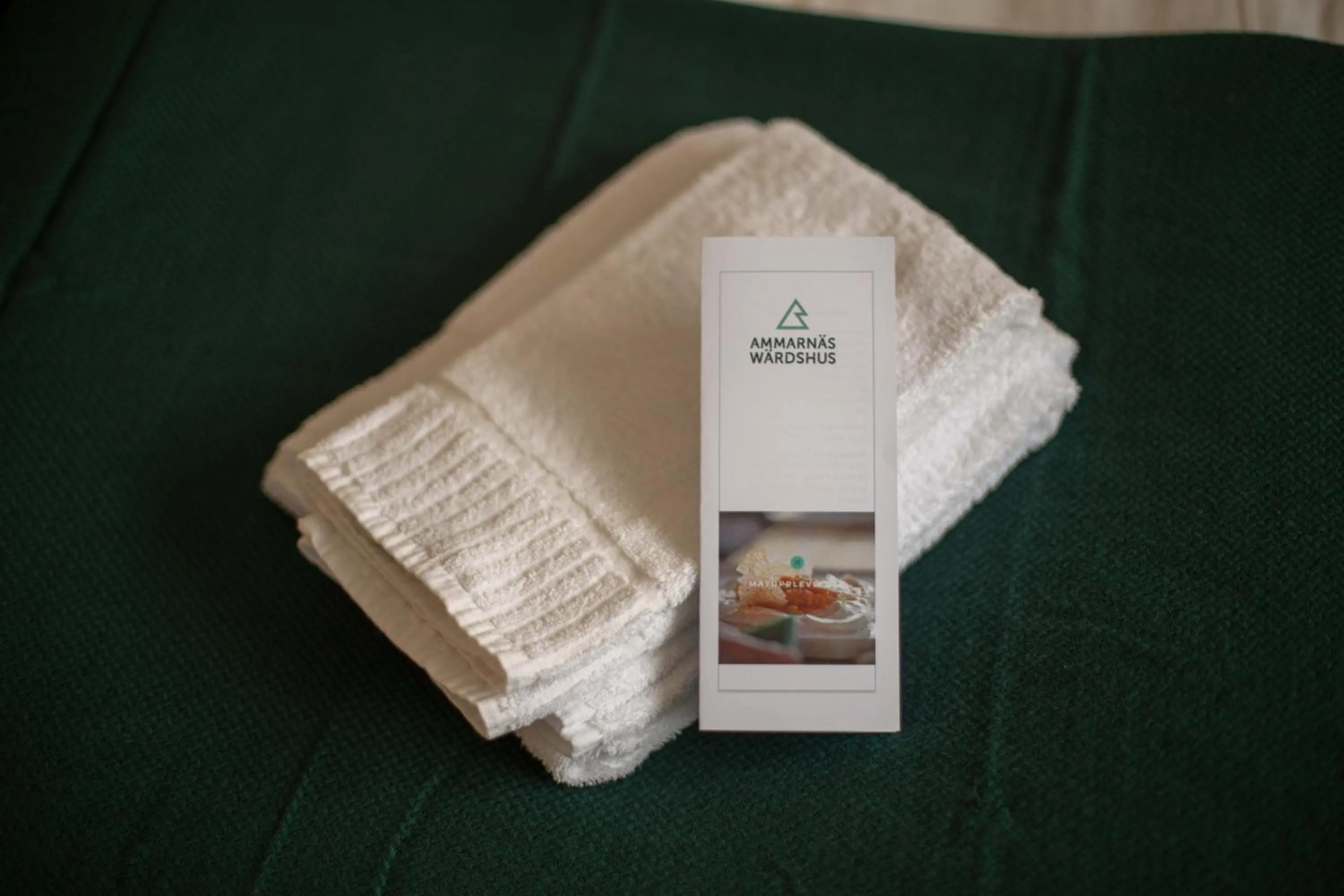 Property logo or sign in Ammarnäs Wärdshus