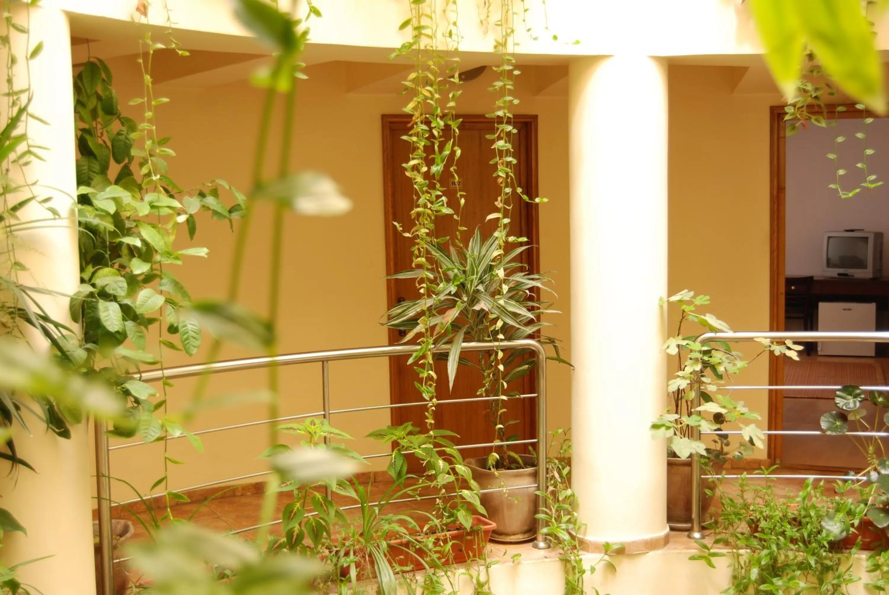 Decorative detail in Hotel Gallant Sibiu