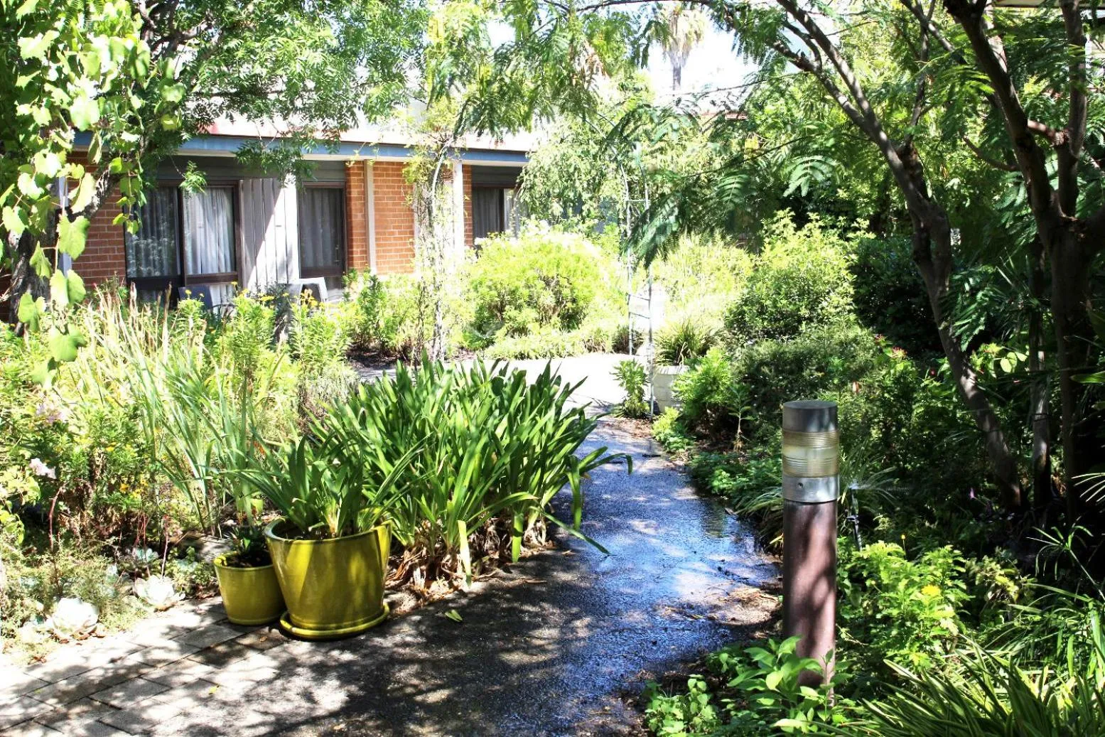 Garden in Henry's Quirindi
