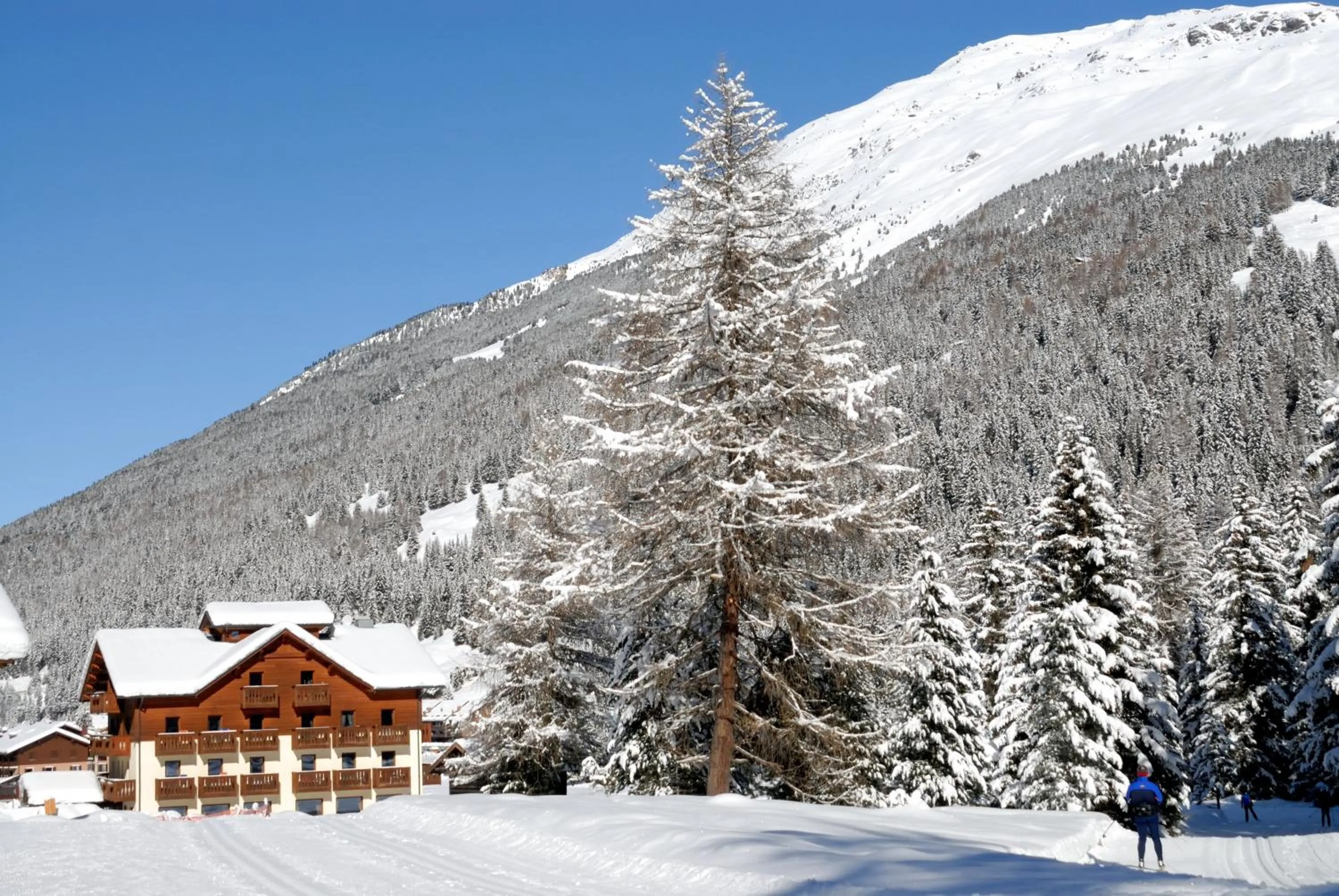 Neighbourhood in Hotel Cevedale