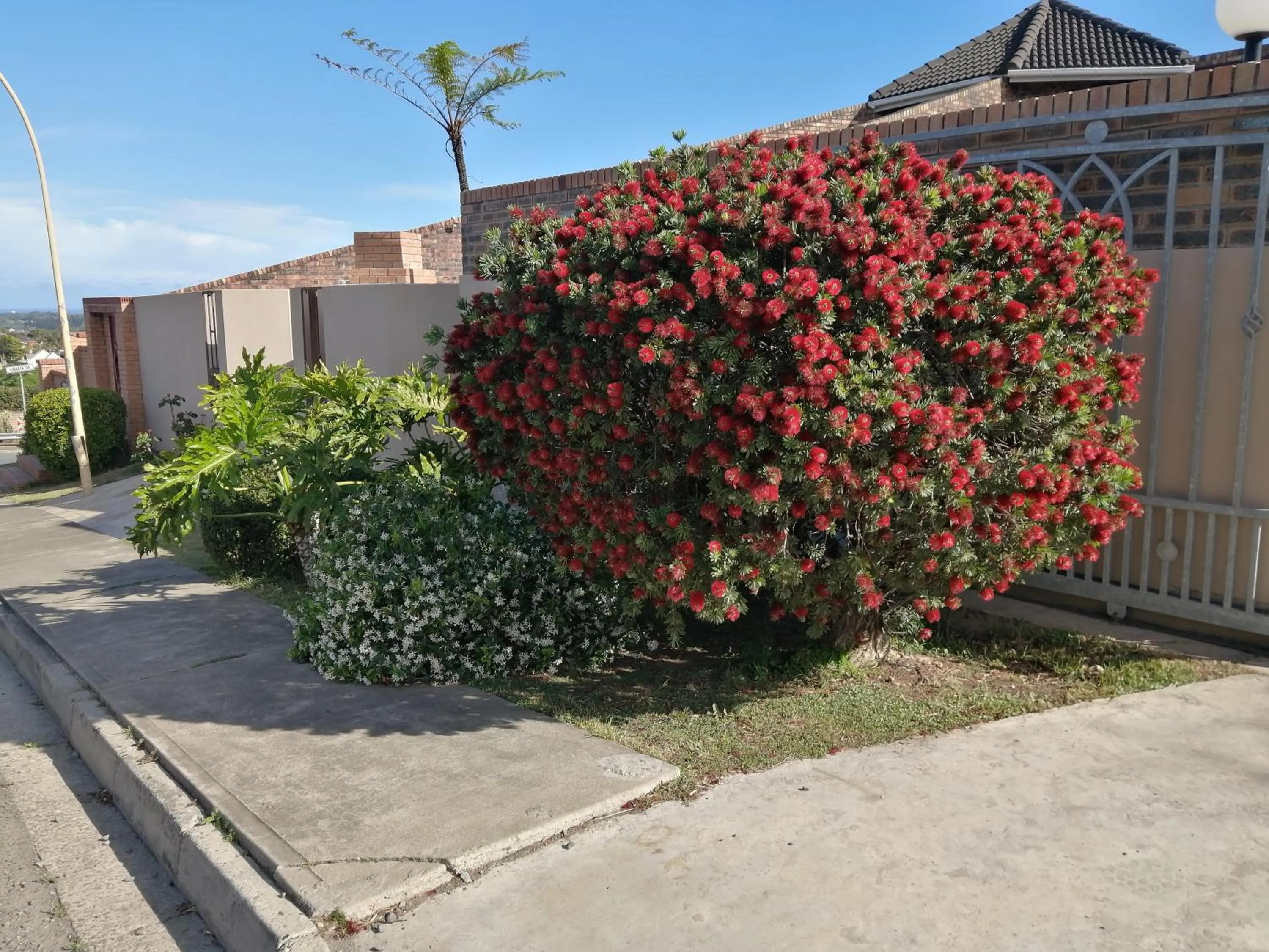 Facade/entrance in Blue Sea Guest House