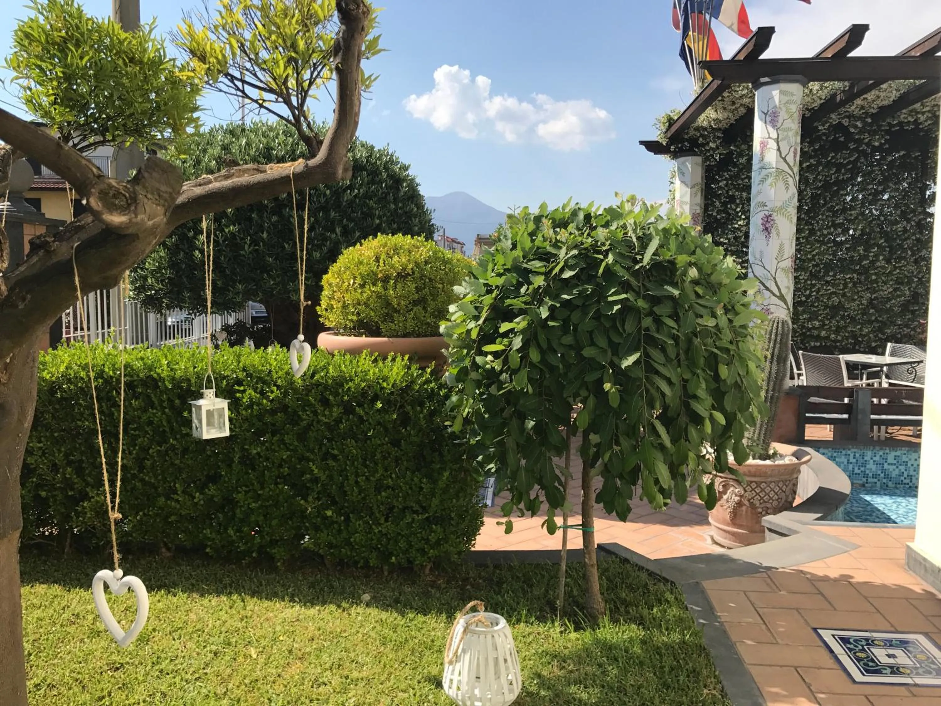 Garden in Costa Hotel