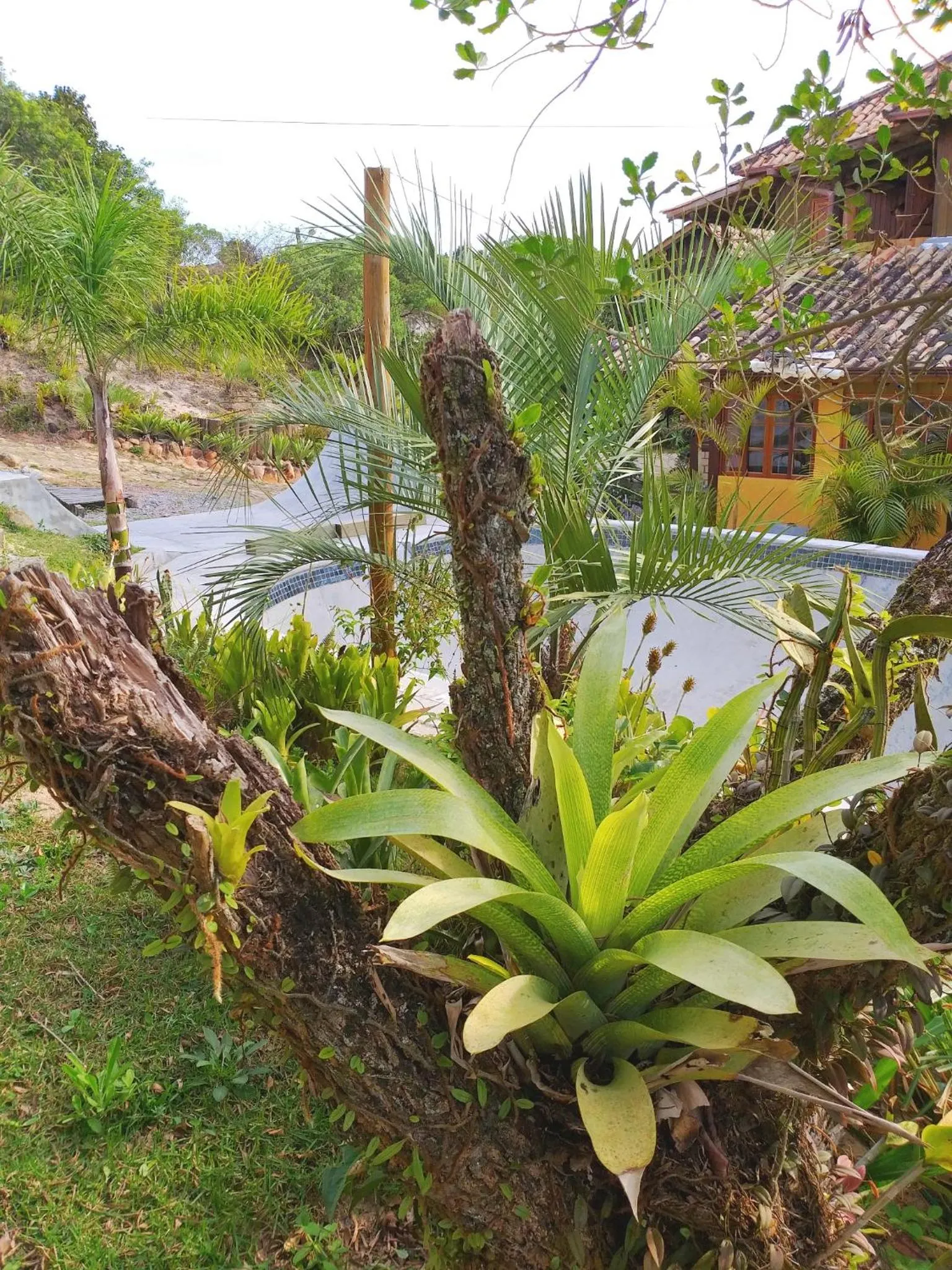 Recanto das Bromélias Chalés