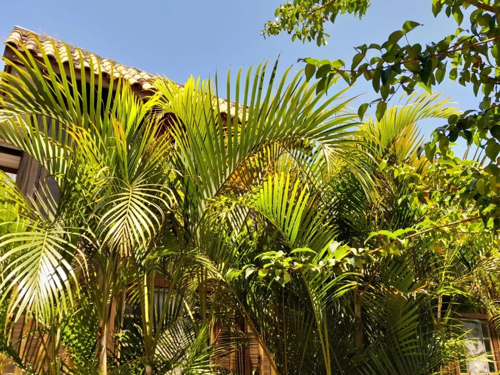 Recanto das Bromélias Chalés