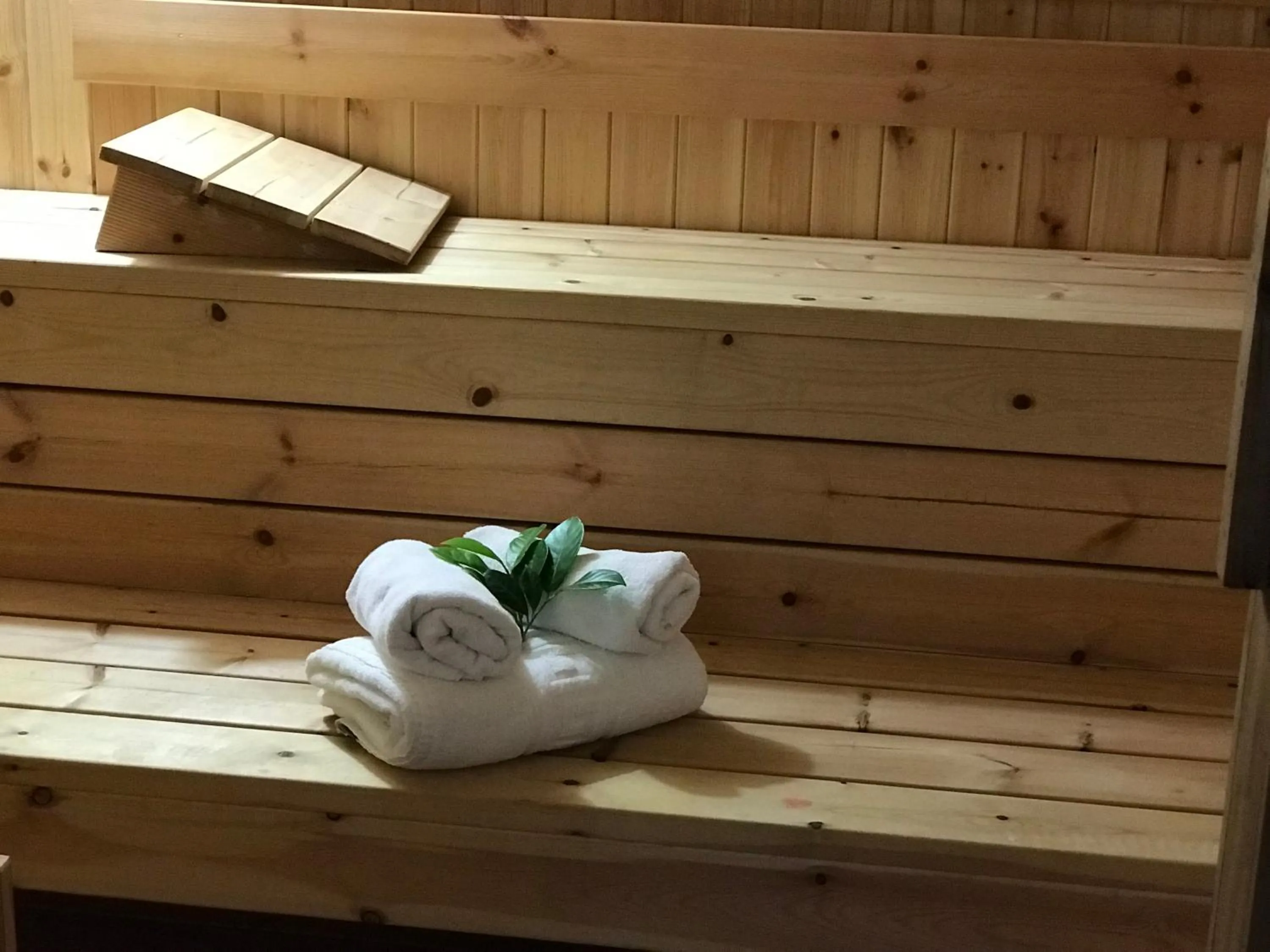 Sauna in Hotel Deluxe