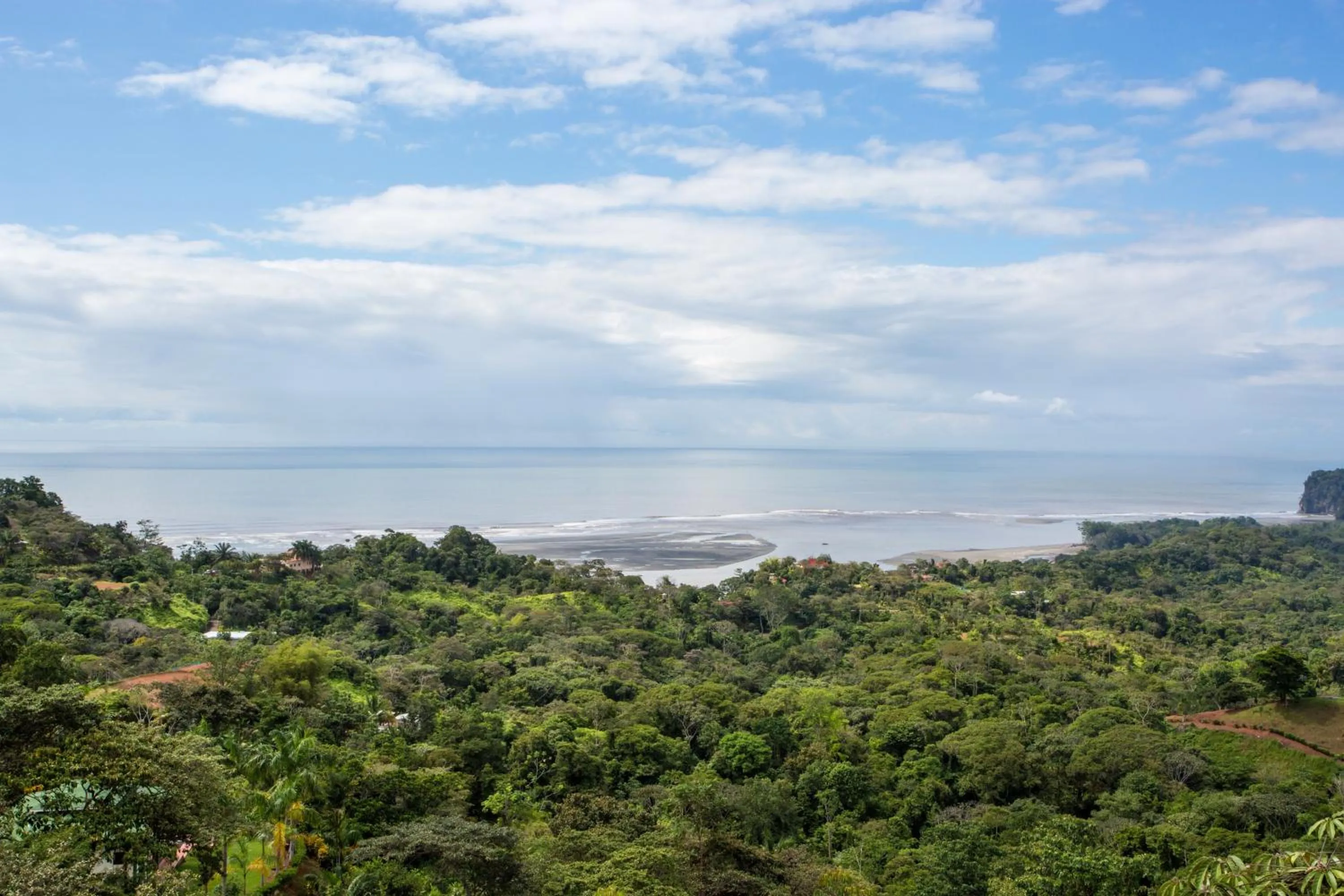Garden in Hotel Three Sixty - Adults Only