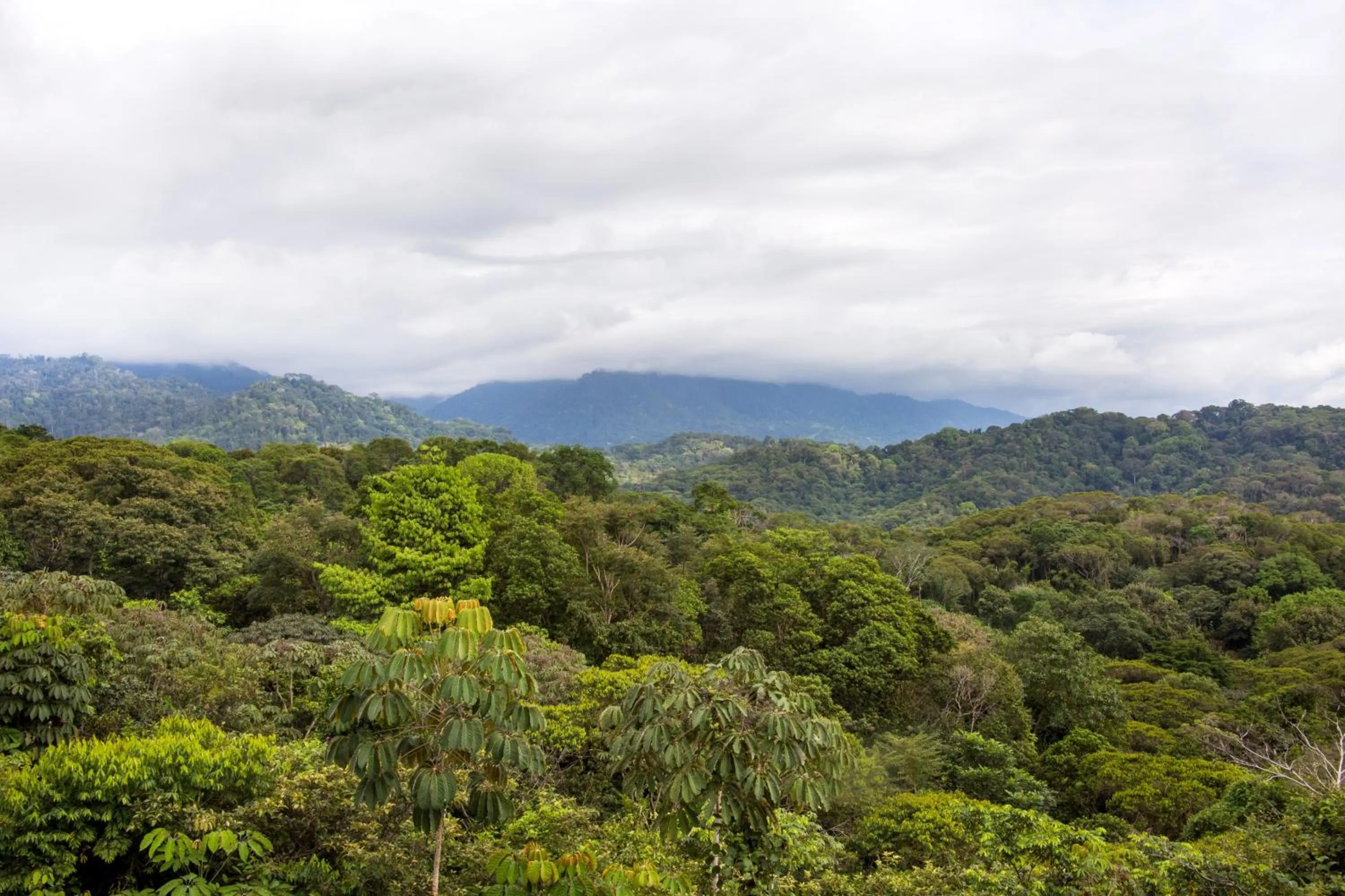 Garden in Hotel Three Sixty - Adults Only