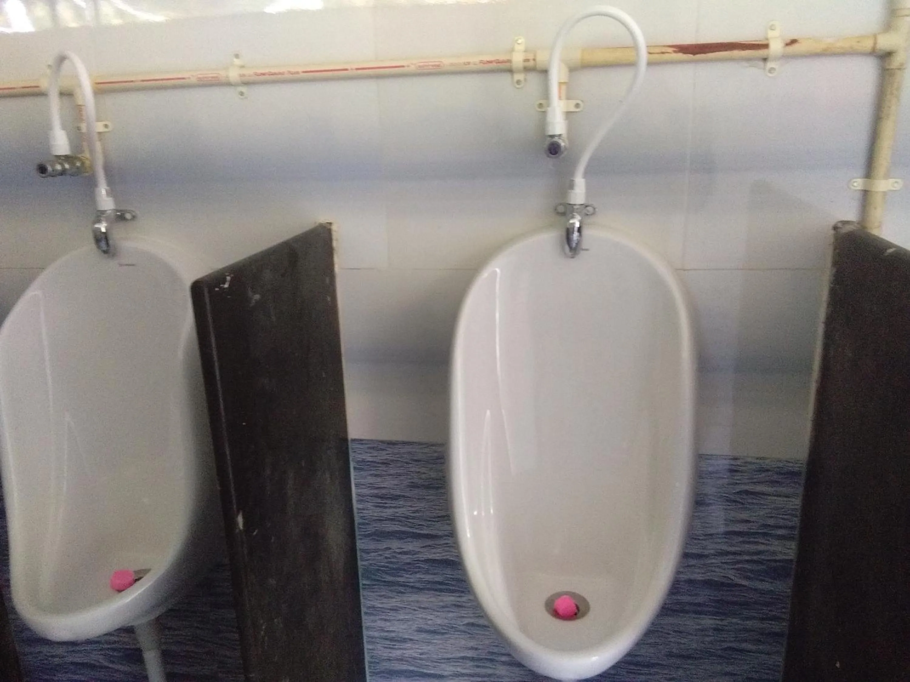 Bathroom in Farmers Son CampingGround