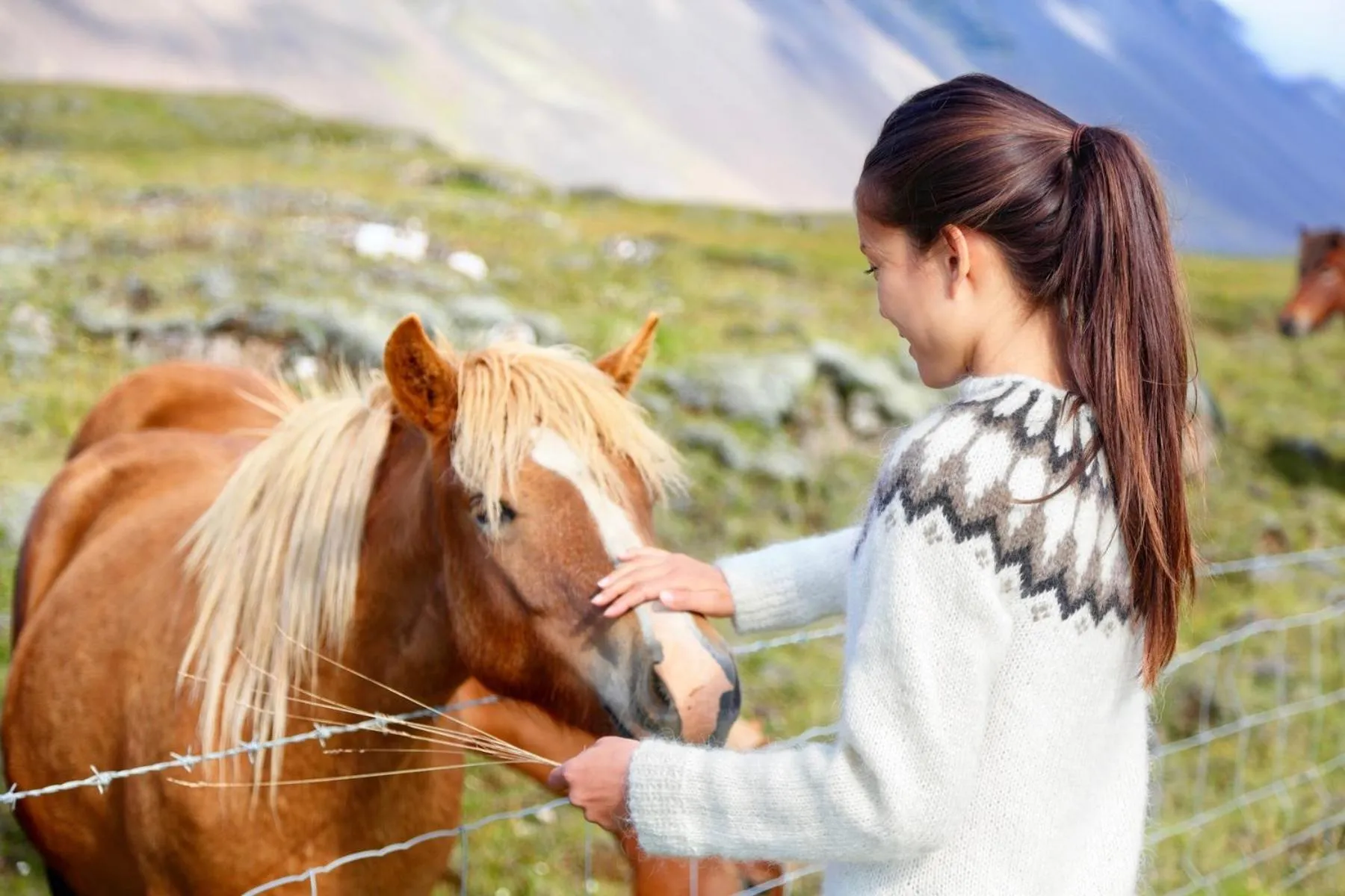 Experience Beautiful Iceland