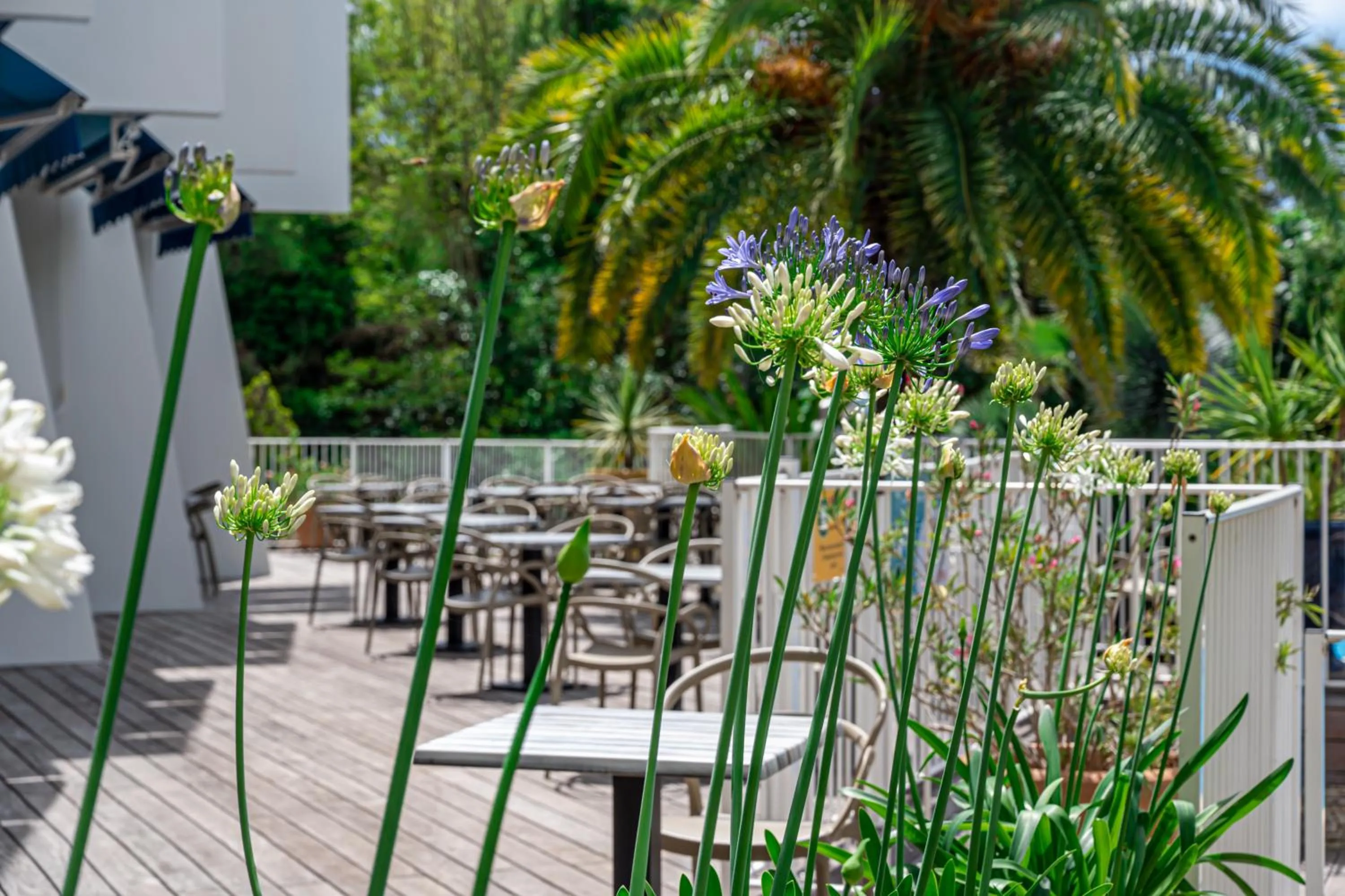 Balcony/Terrace in Hotel Le Quetzal