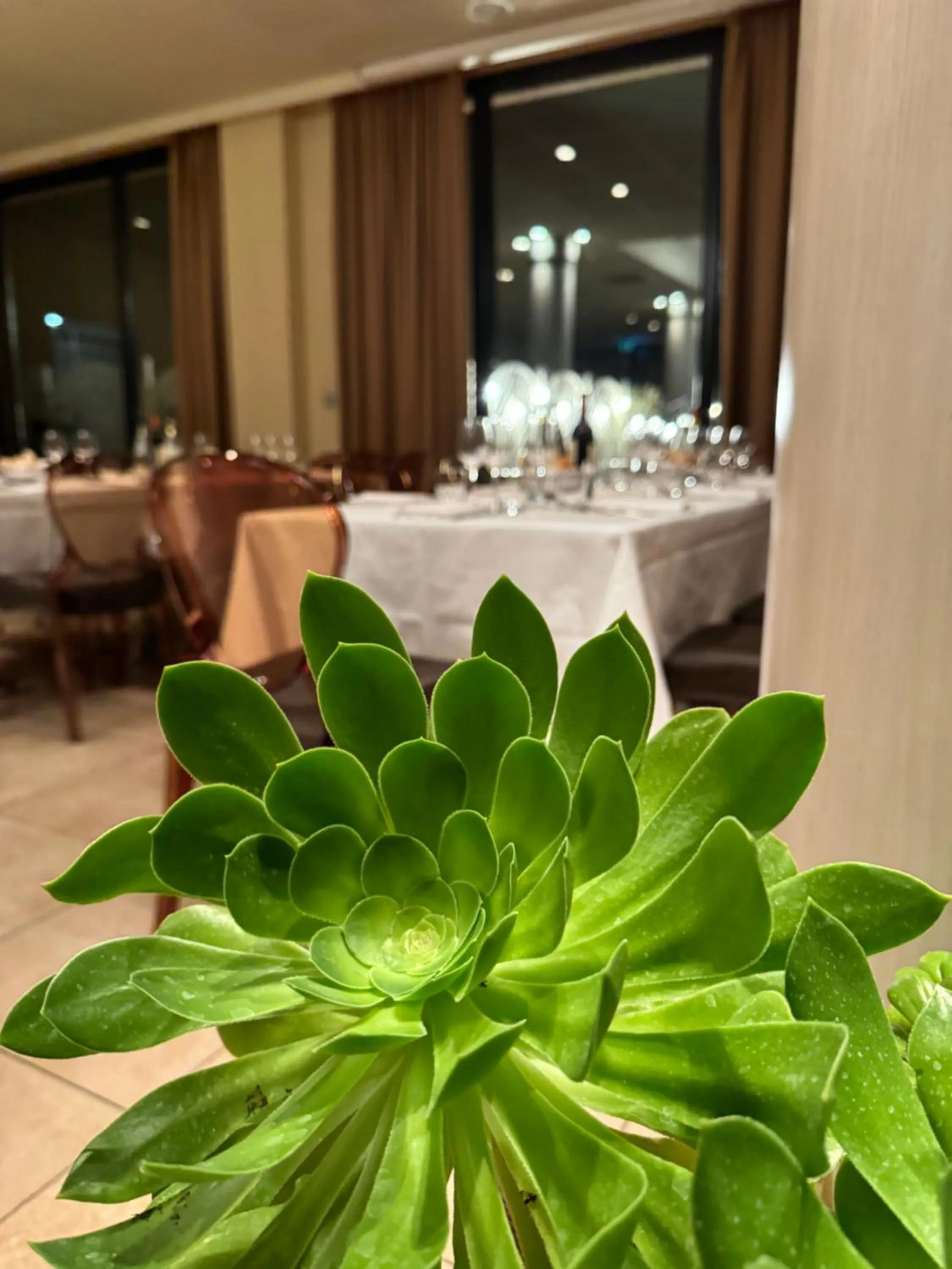 Restaurant/places to eat in Grand Hotel Forlì
