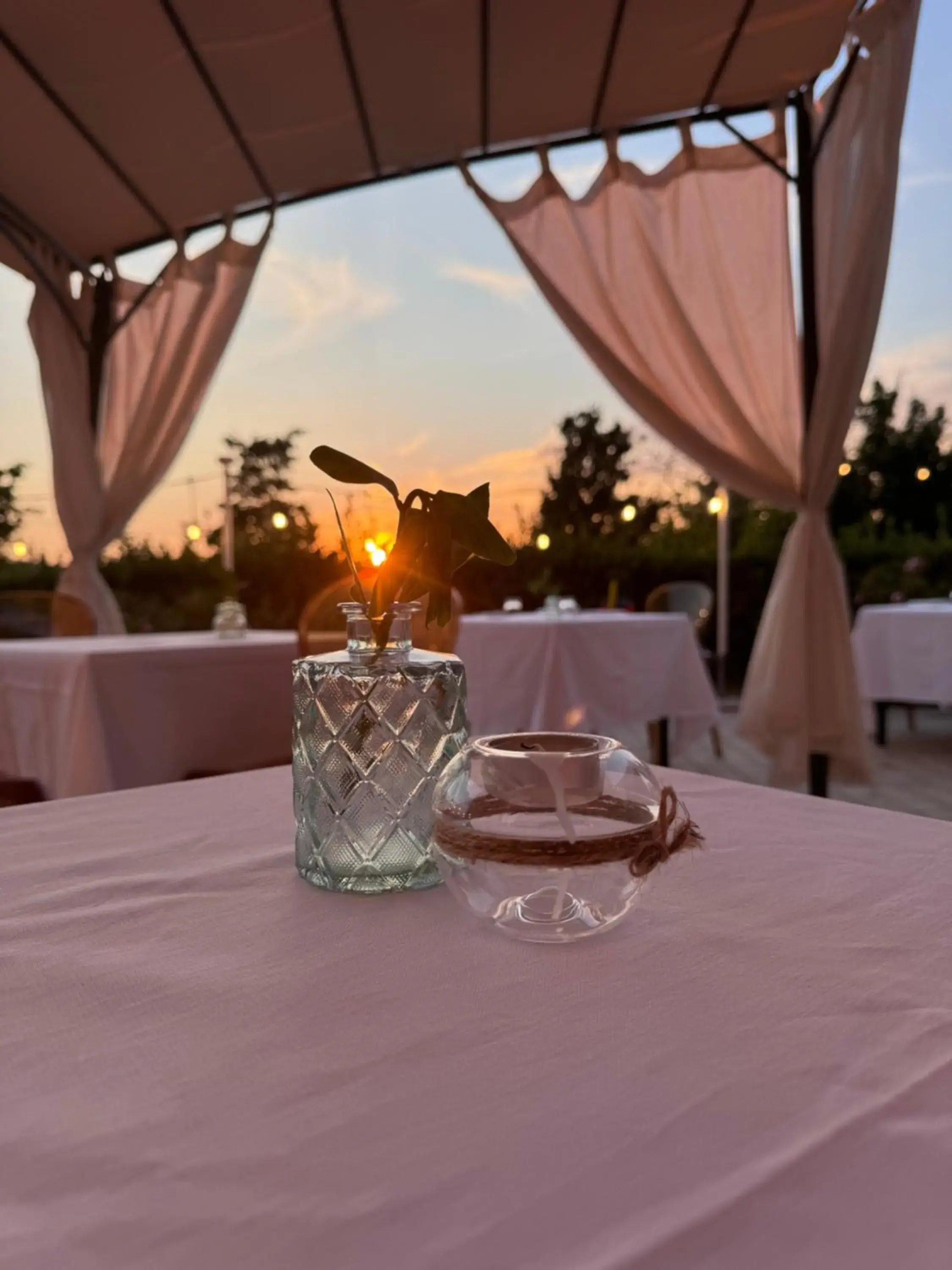 Garden view in Grand Hotel Forlì Garden view in Grand Hotel Forlì