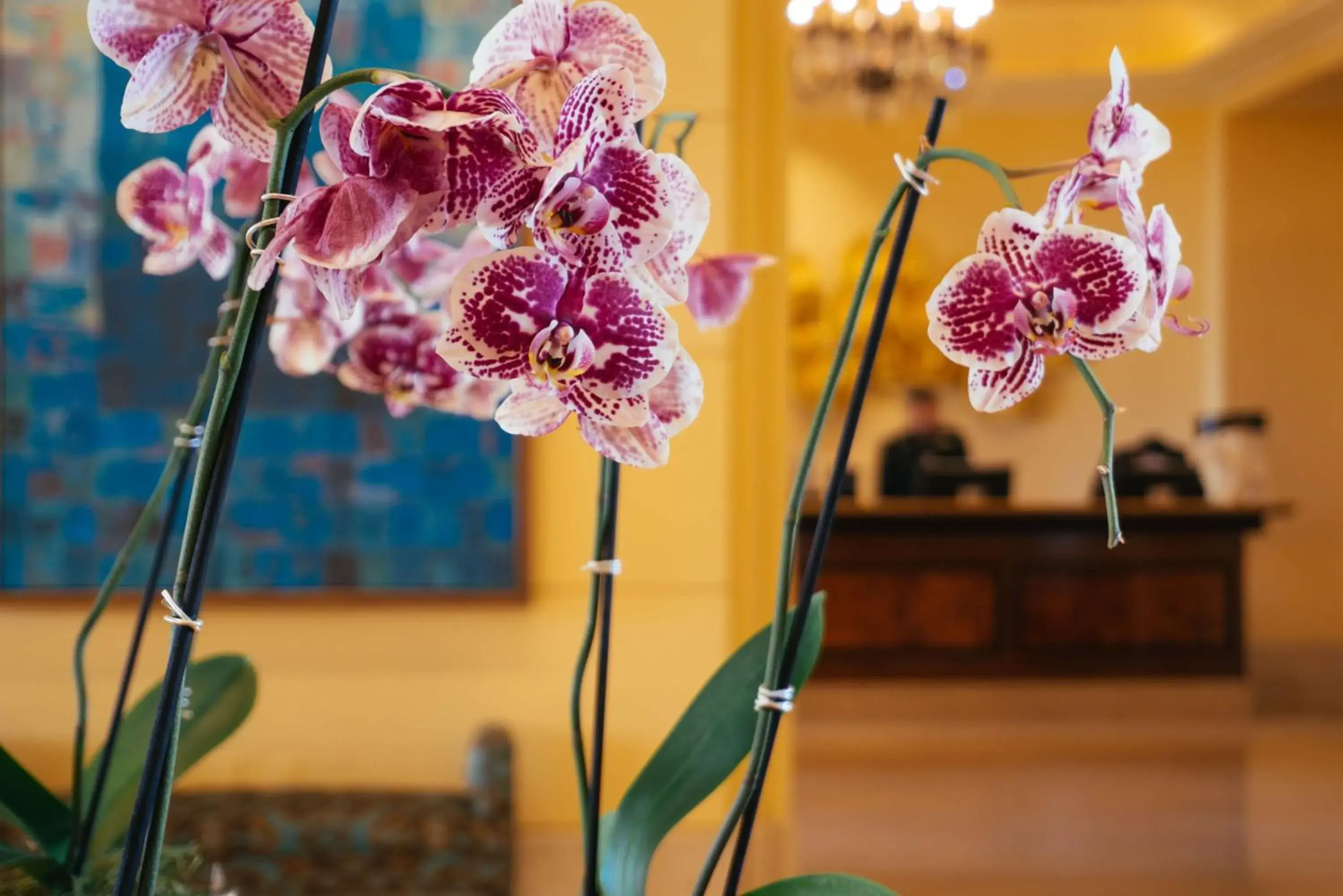 Lobby or reception in Hilton Lake Las Vegas Resort & Spa Lobby or reception in Hilton Lake Las Vegas Resort & Spa