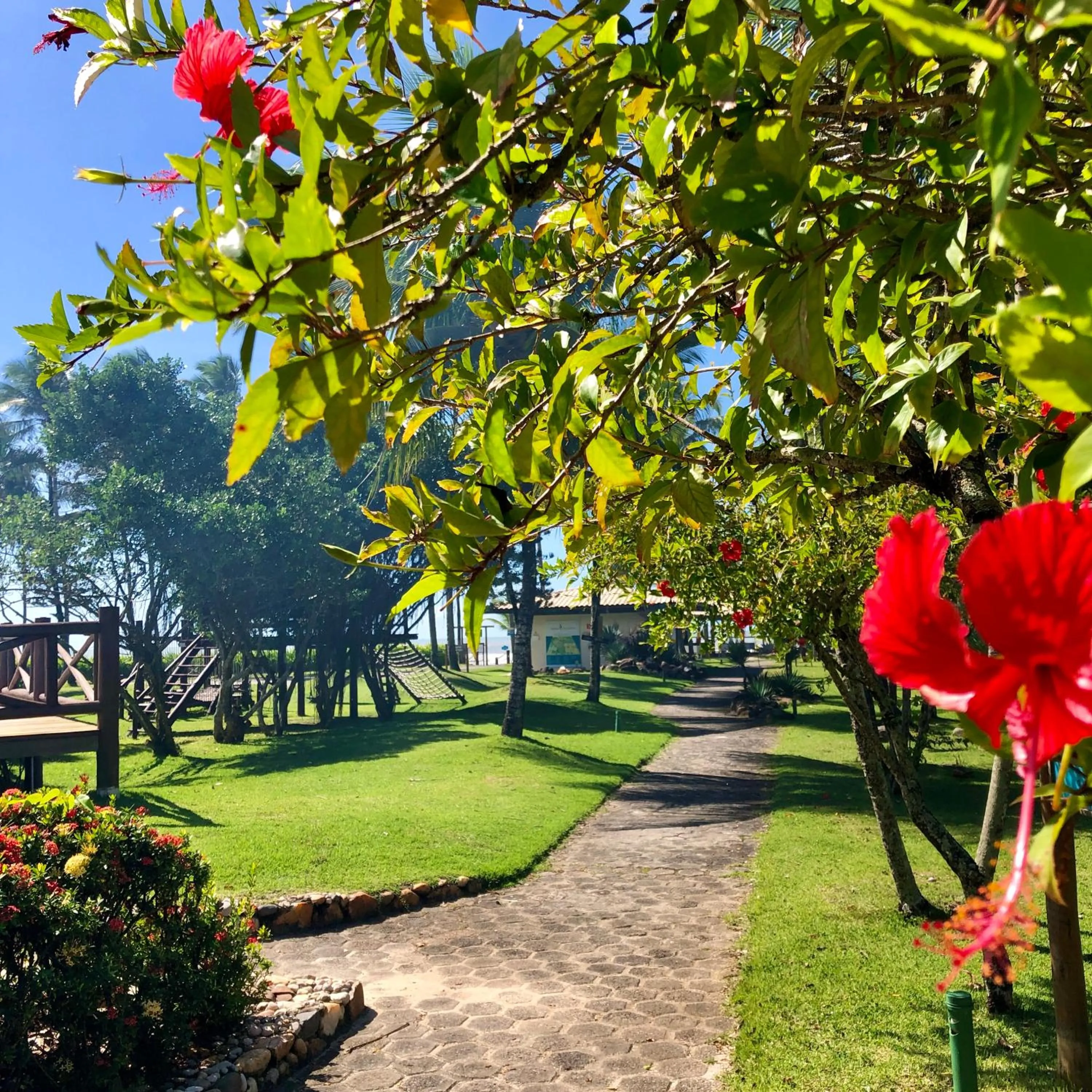 Garden view in Jardim Atlântico Beach Resort