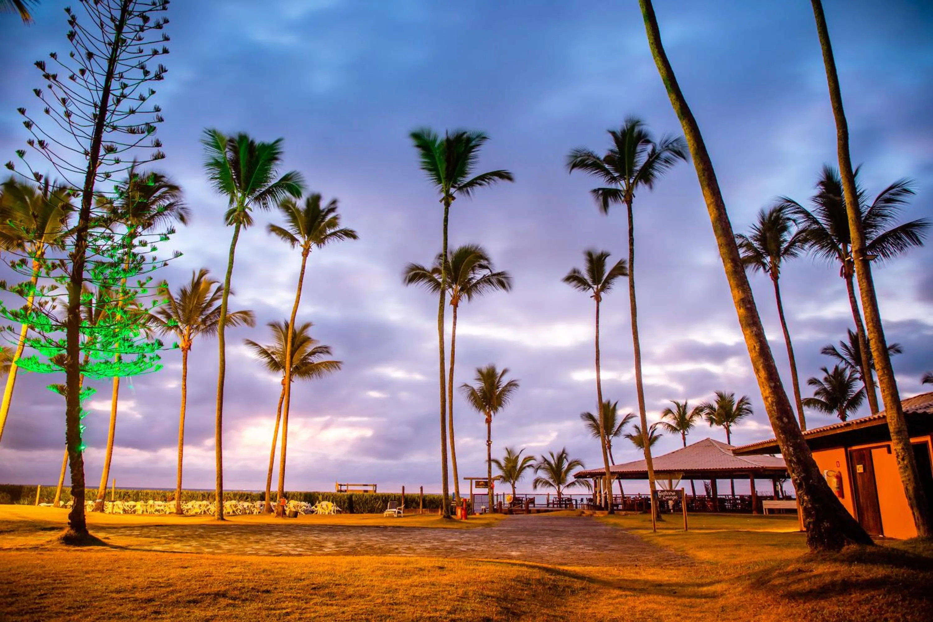Garden in Jardim Atlântico Beach Resort
