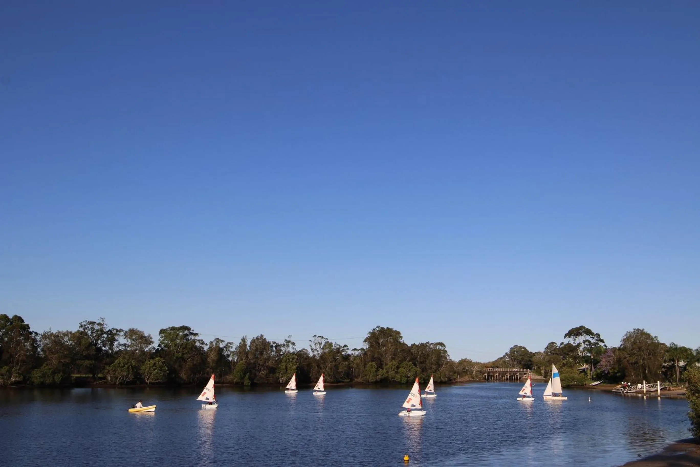 Natural landscape in Maroochy River Bungalows