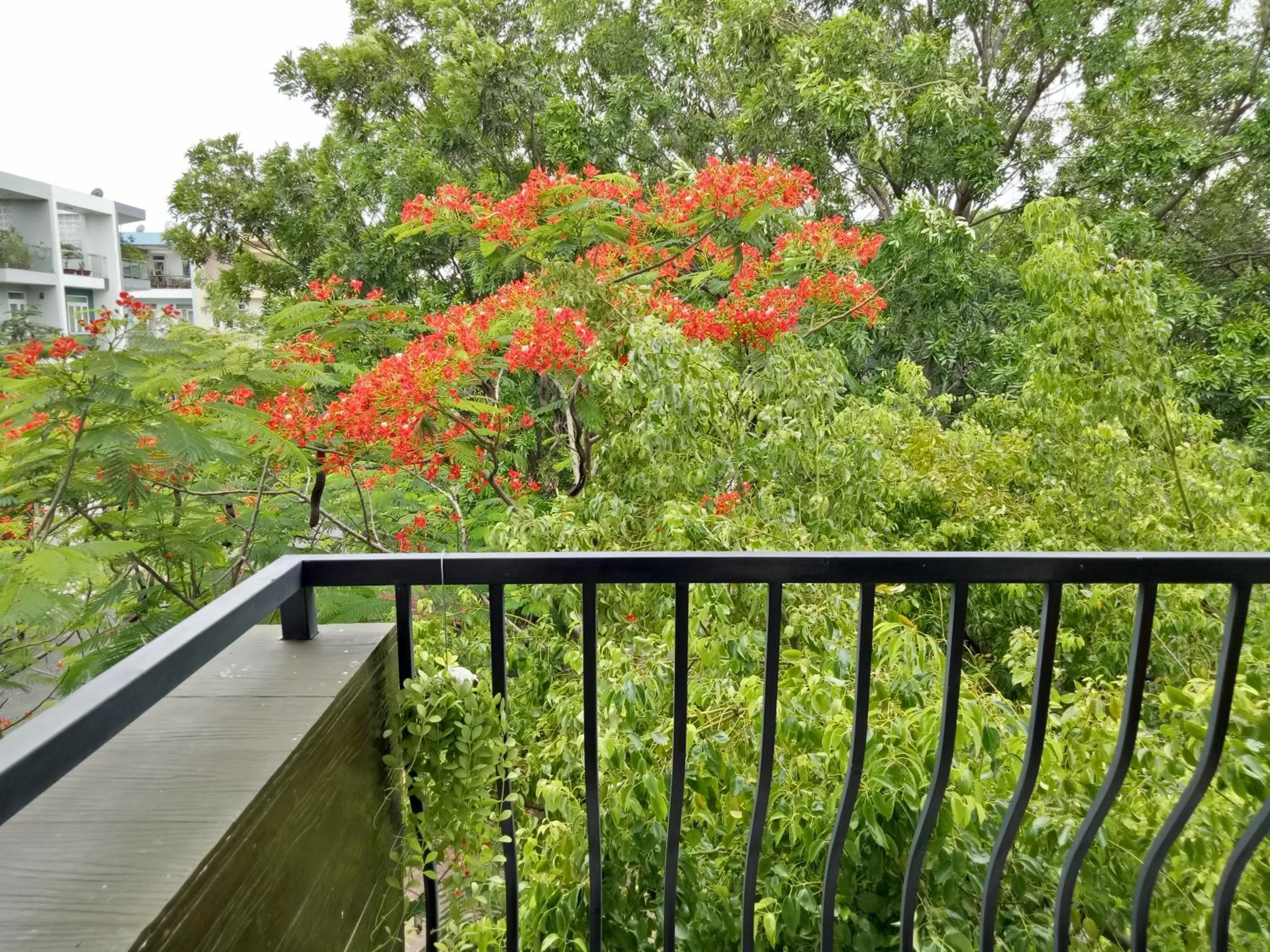 Balcony/Terrace in Spring Light Home