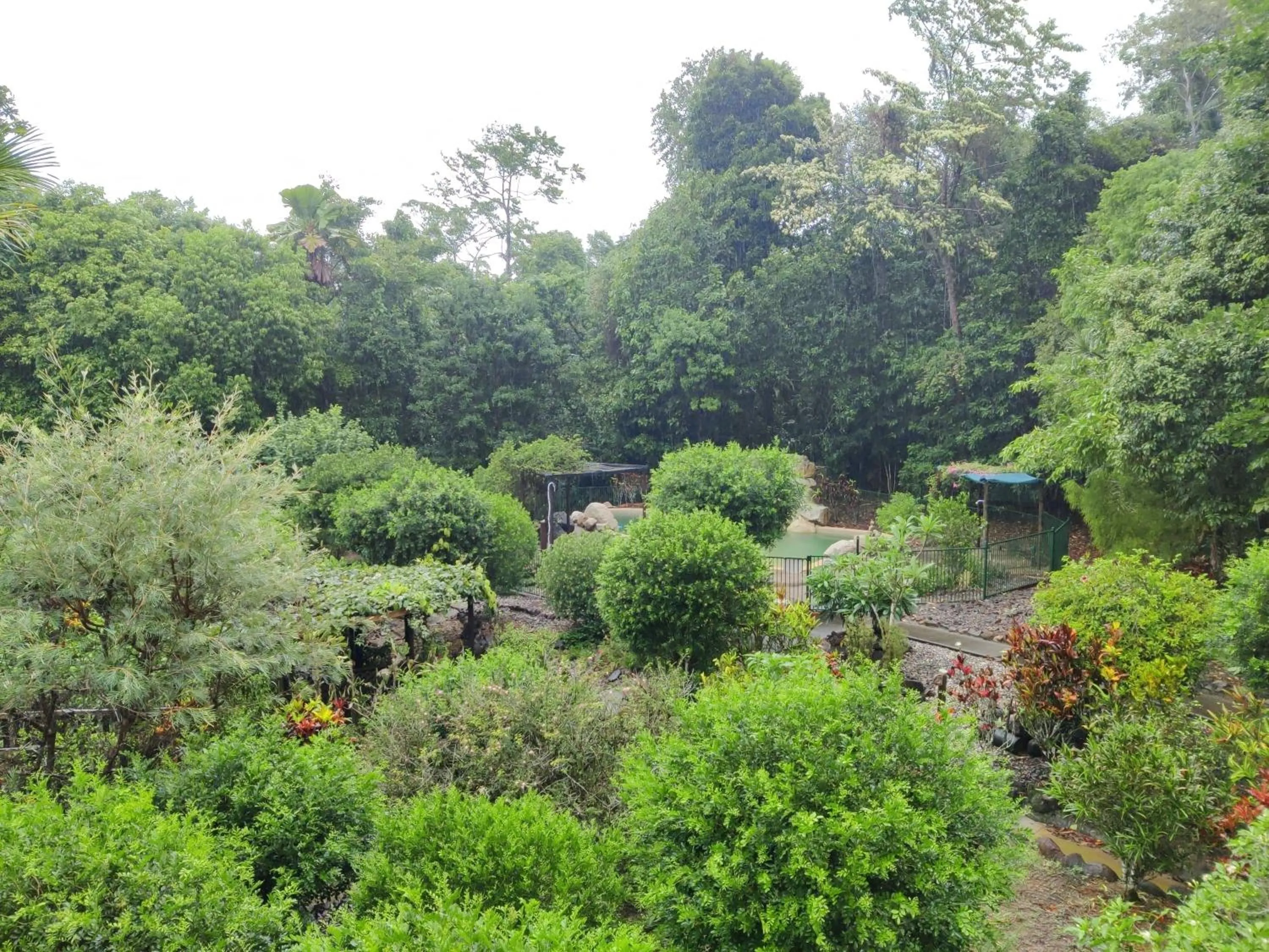 View (from property/room) in Licuala Lodge