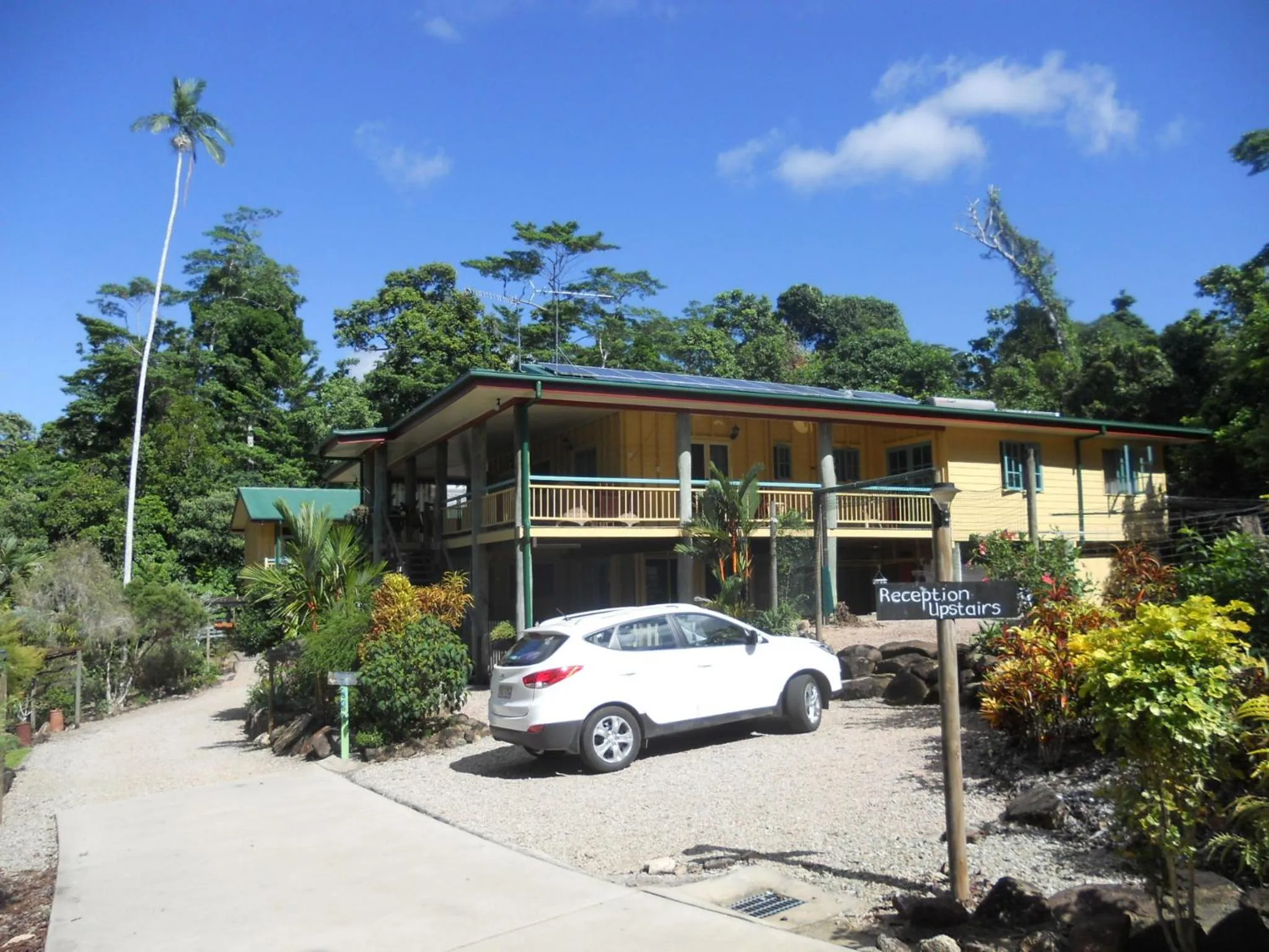 Property building in Licuala Lodge