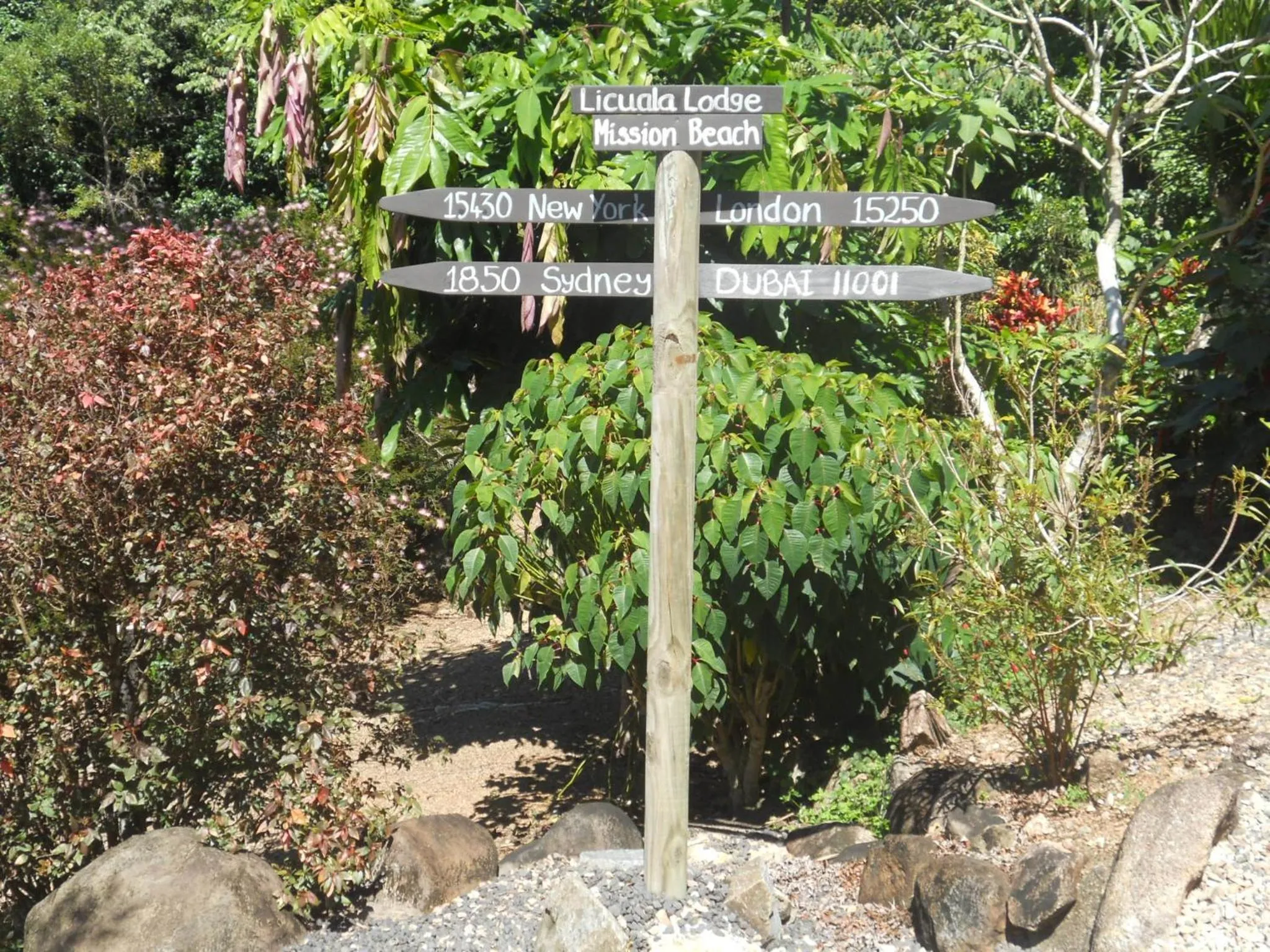 Area and facilities in Licuala Lodge