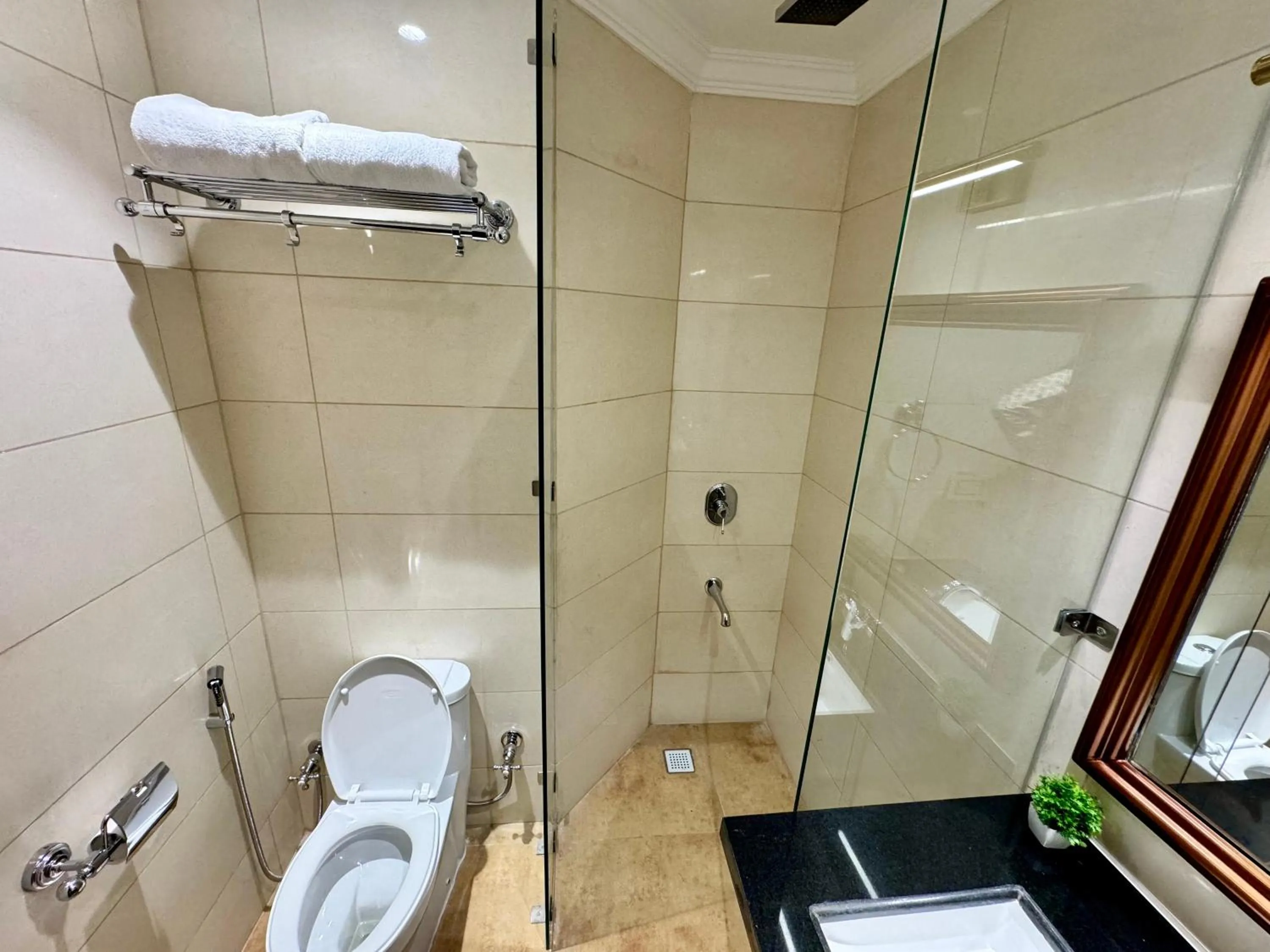 Bathroom in Nalapad's Hotel Bangalore International