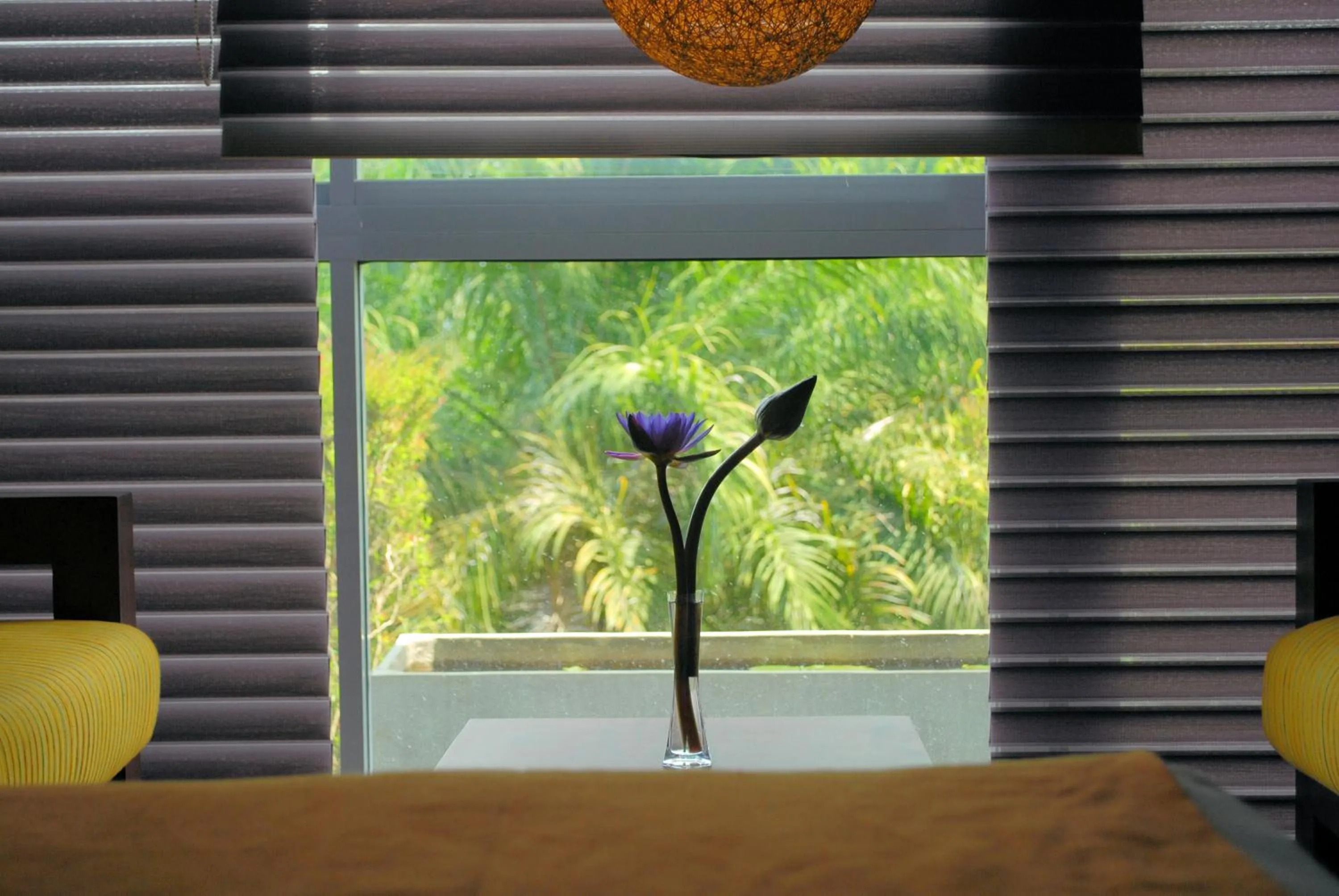 Garden view in Hotel Topaz