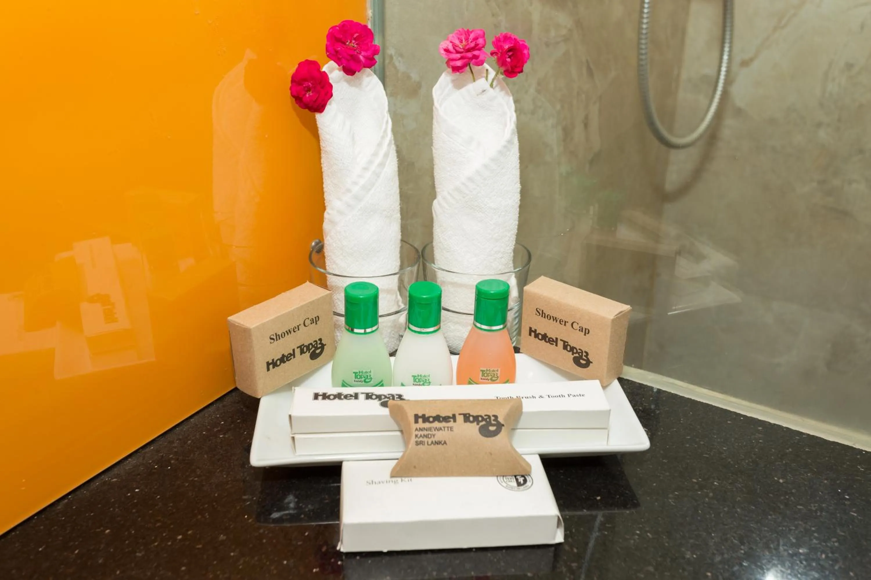 Bathroom in Hotel Topaz