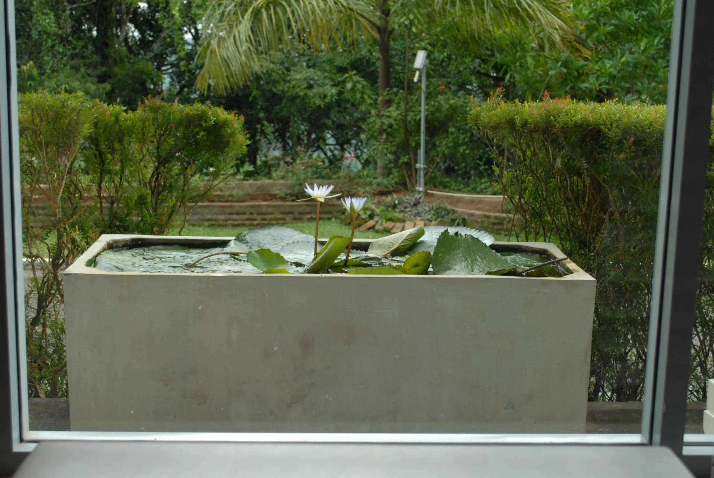 Photo of the whole room in Hotel Topaz