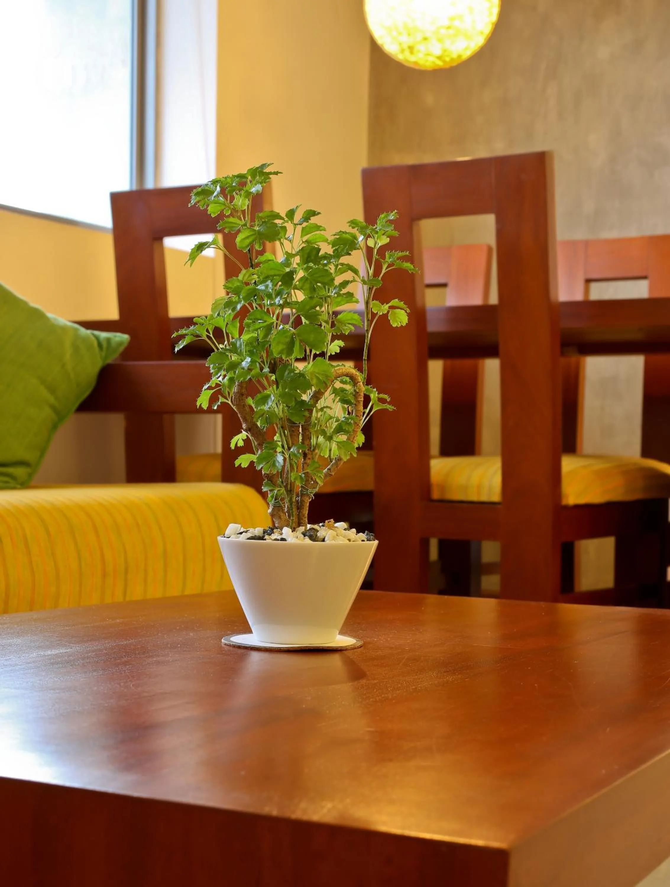 Seating area in Hotel Topaz