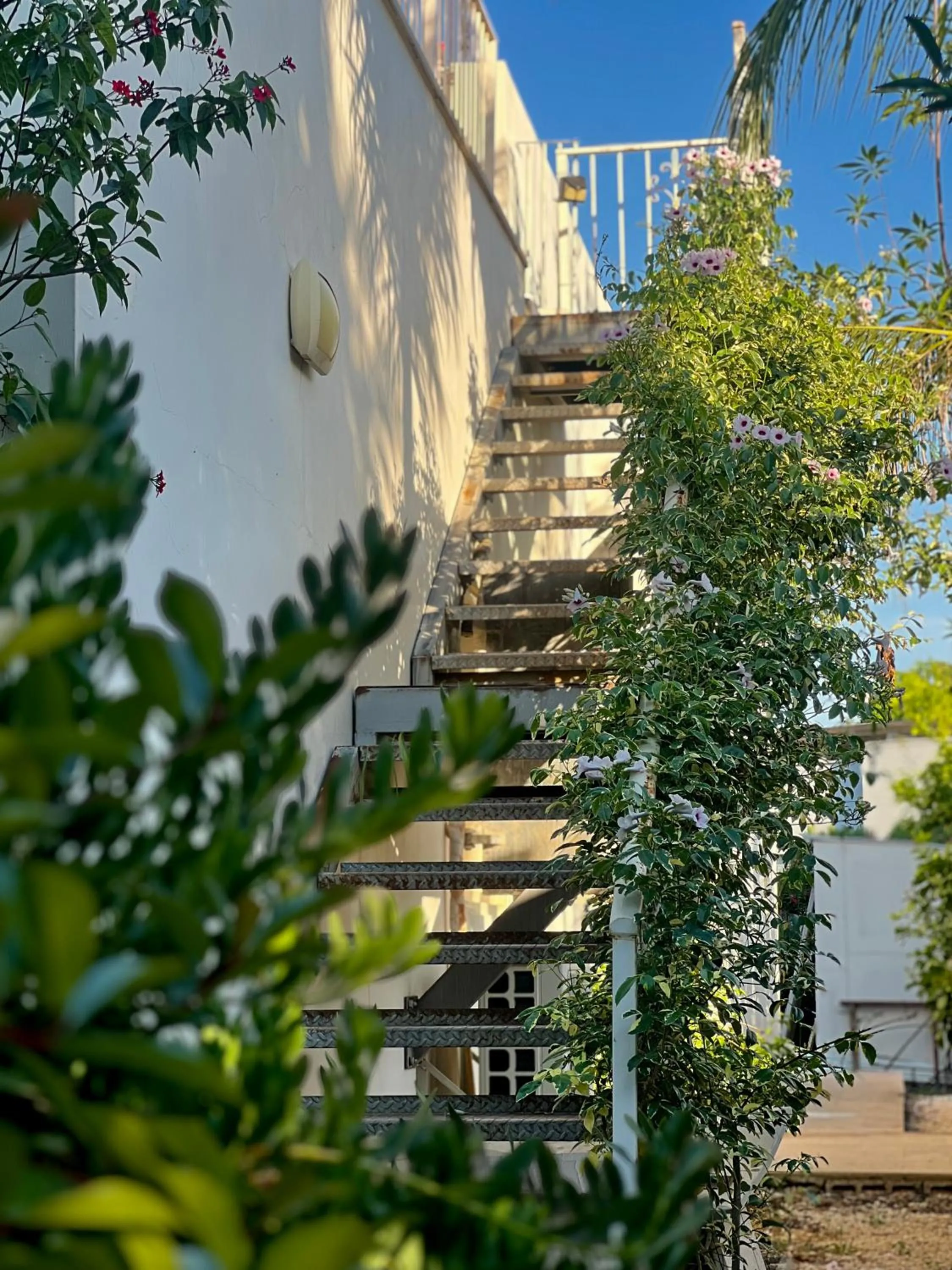 The Roof