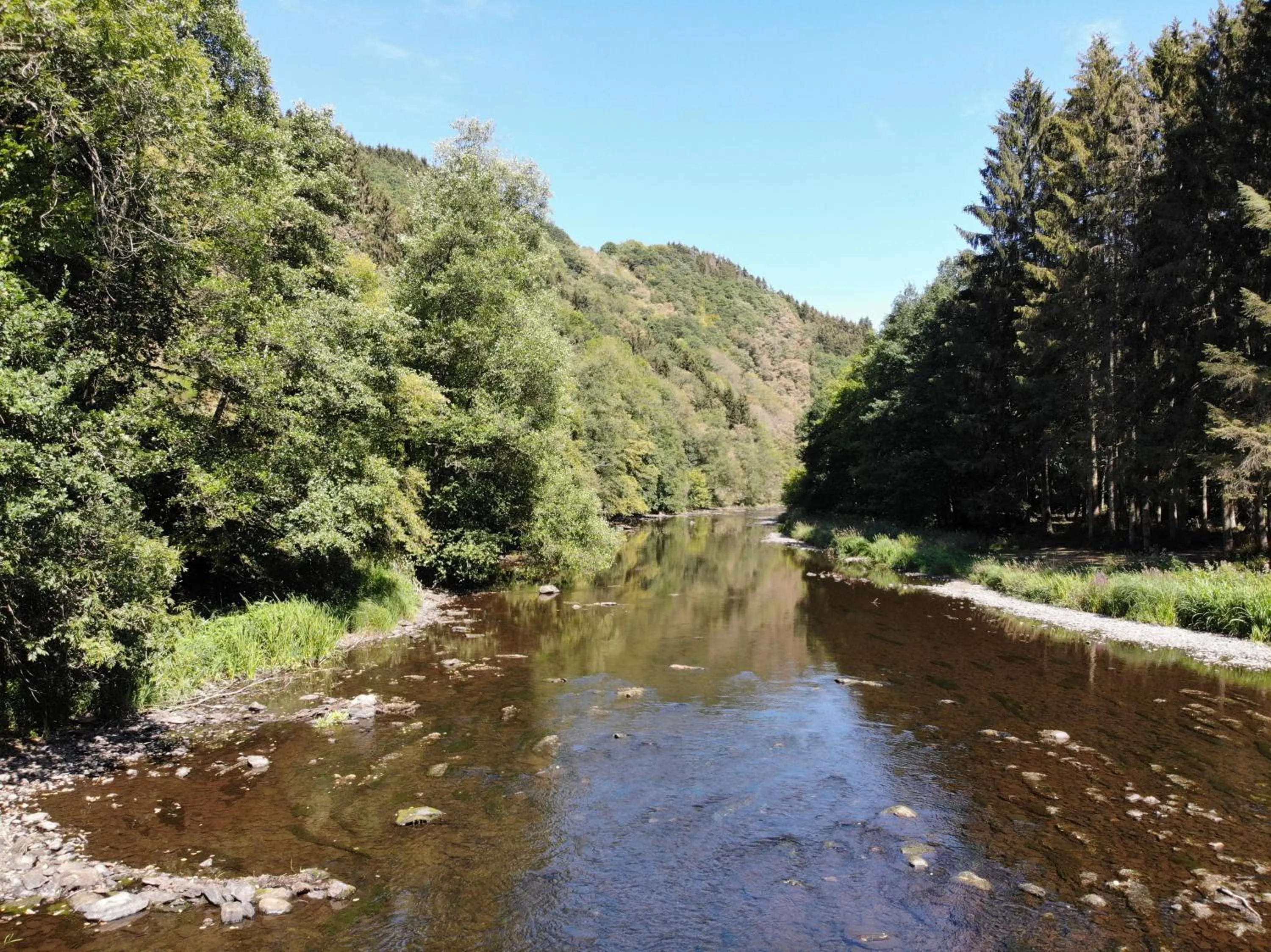 Off site in Les Alisiers