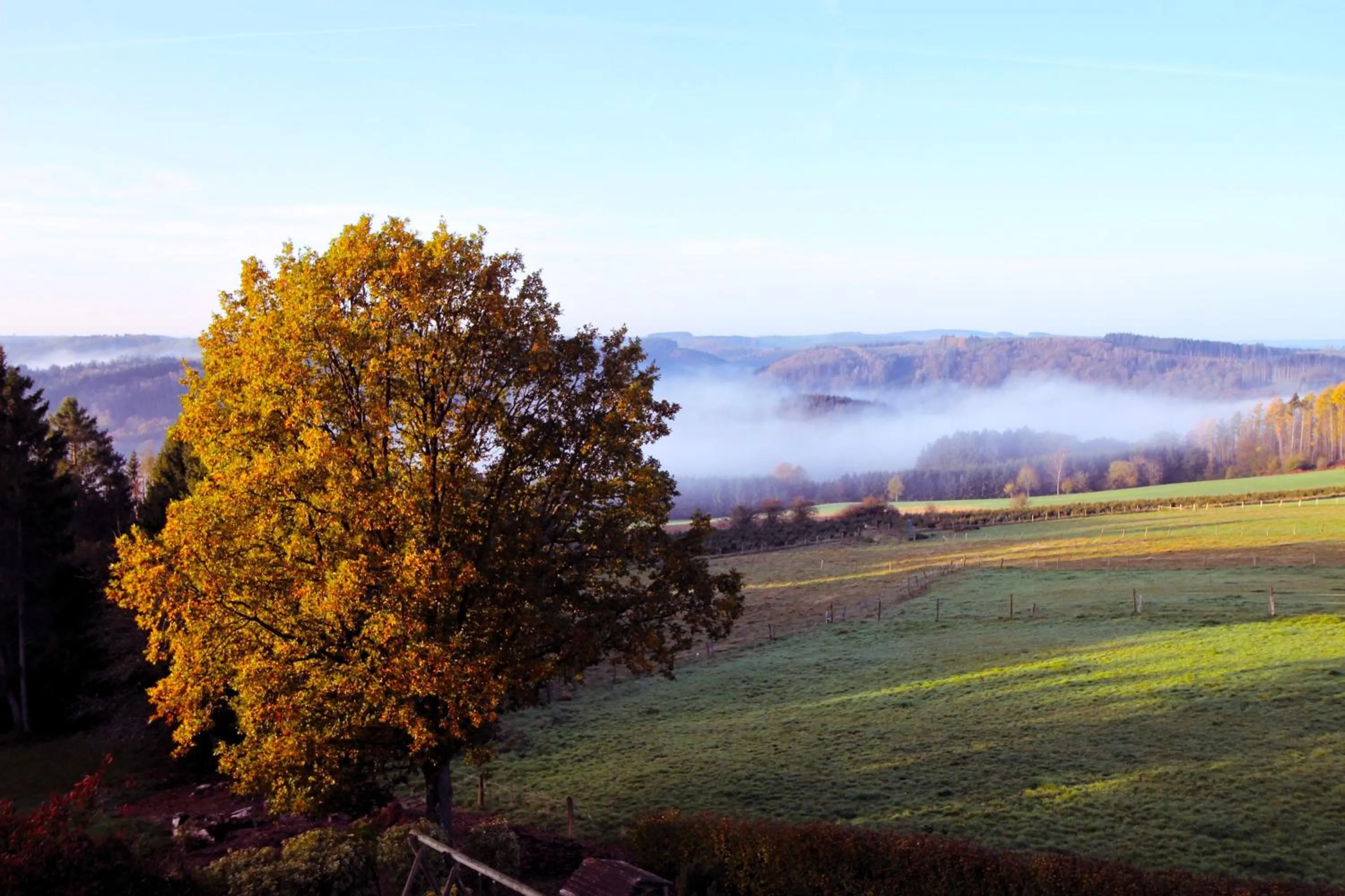 Landmark view in Les Alisiers