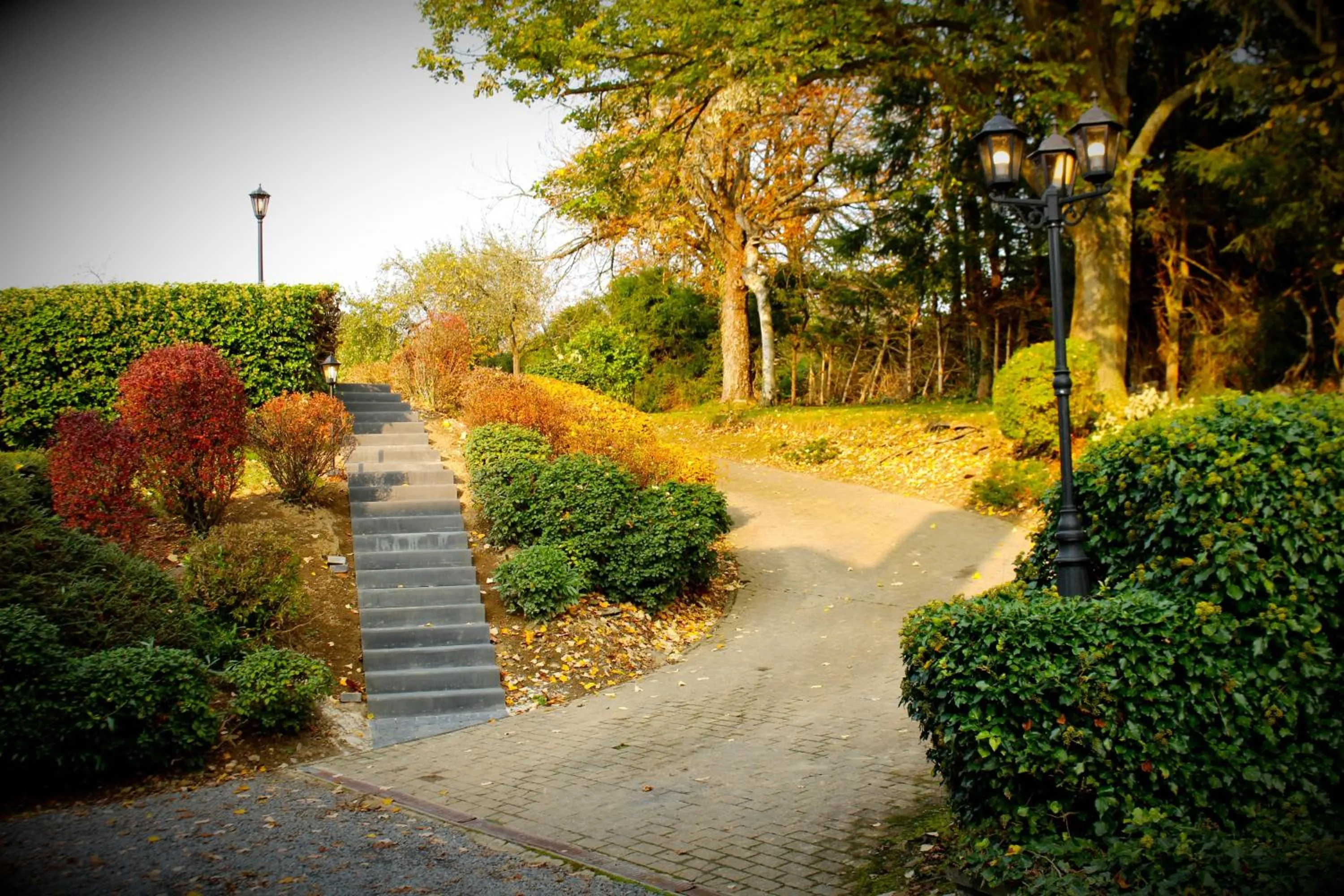 Garden in Les Alisiers