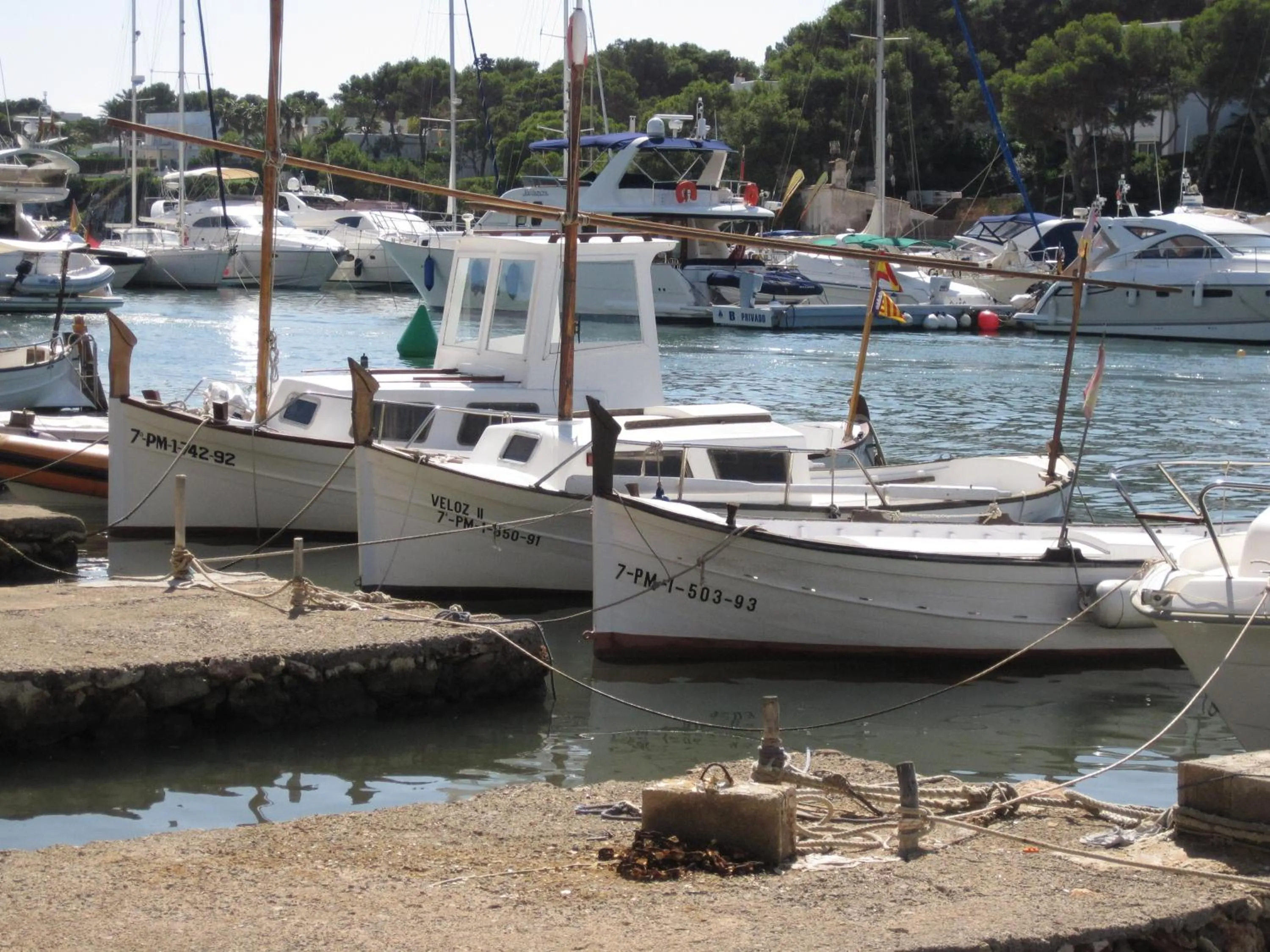 Area and facilities in Fowlers Hotel