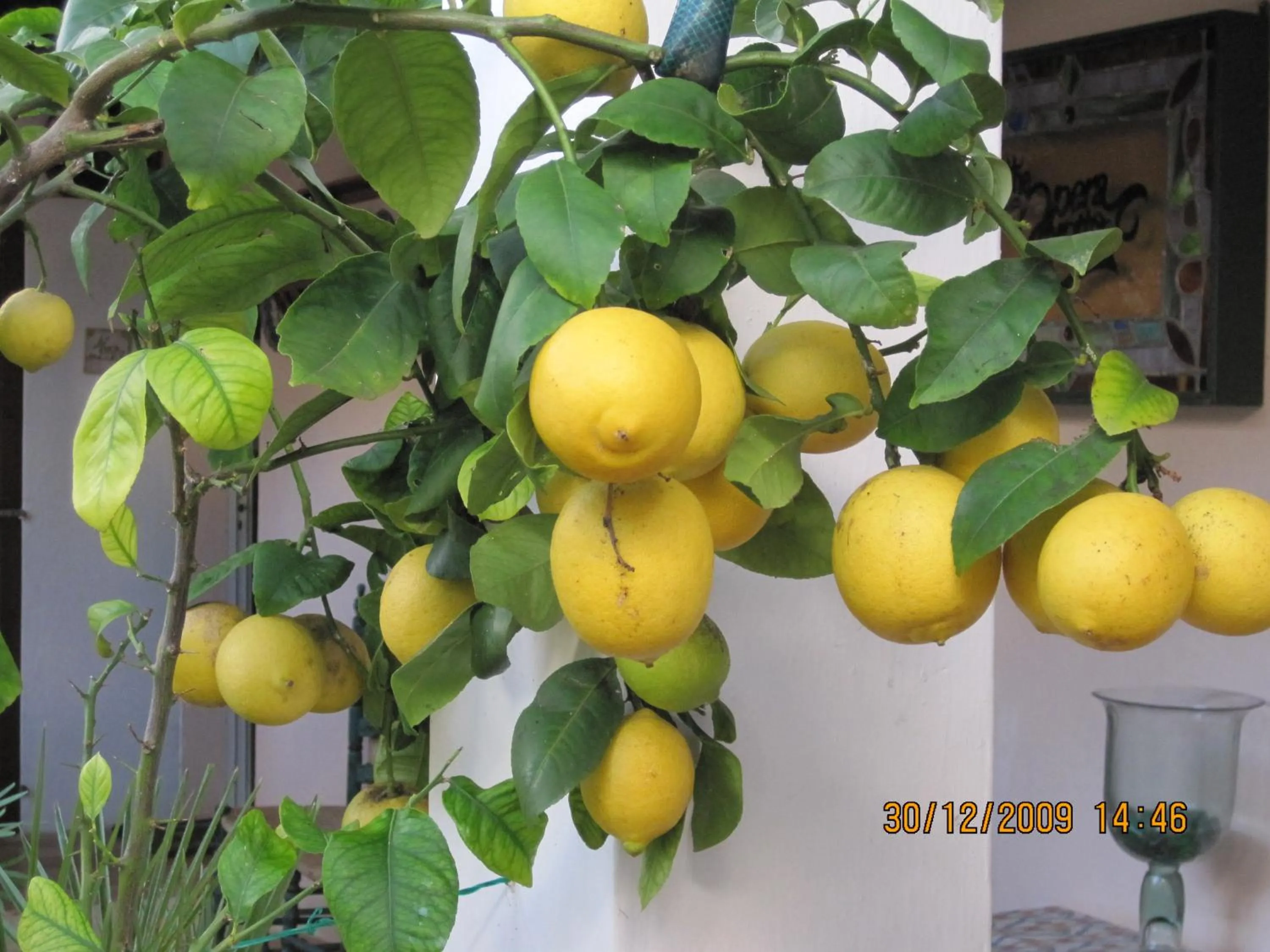 Other in Fowlers Hotel