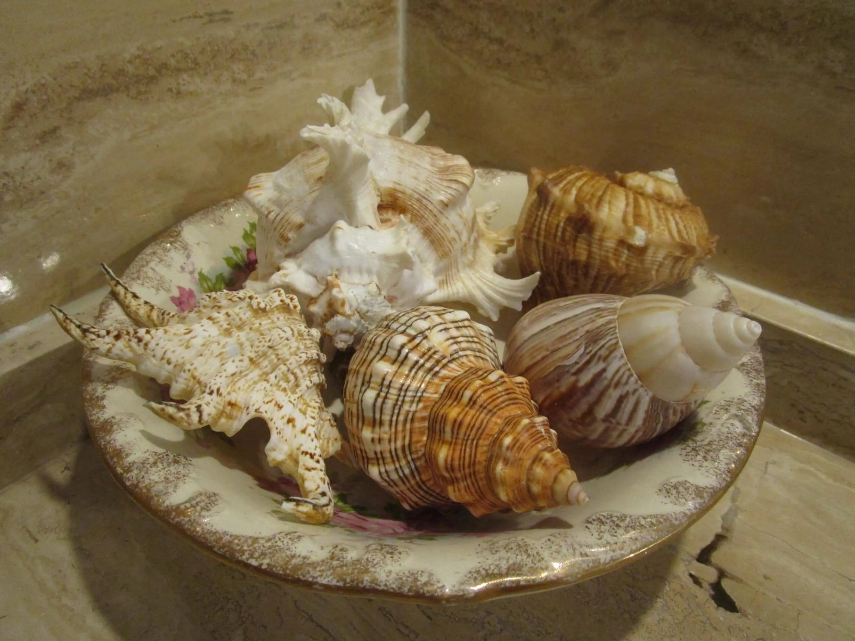 Decorative detail in Fowlers Hotel