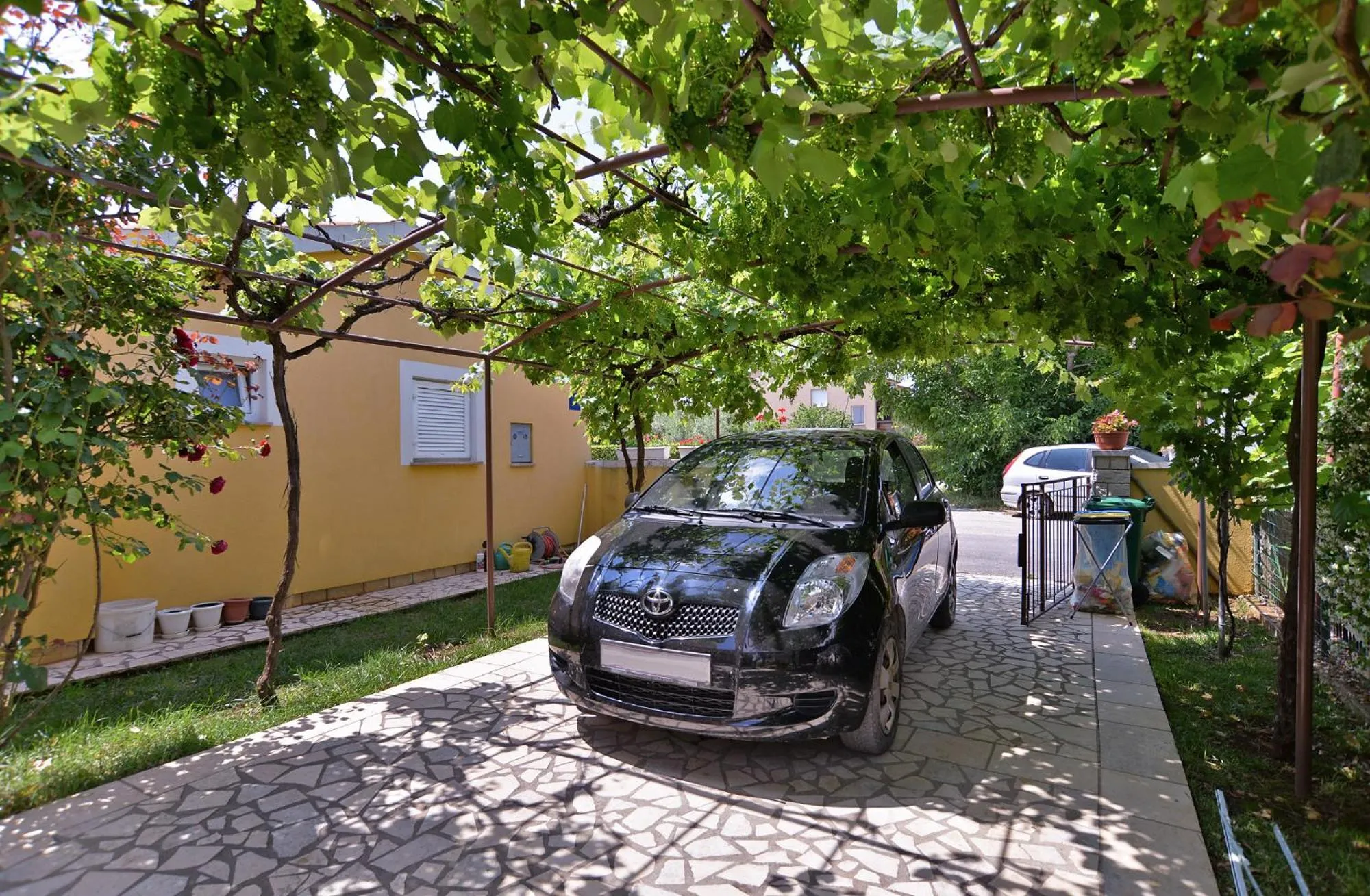 Apartments Milena 436