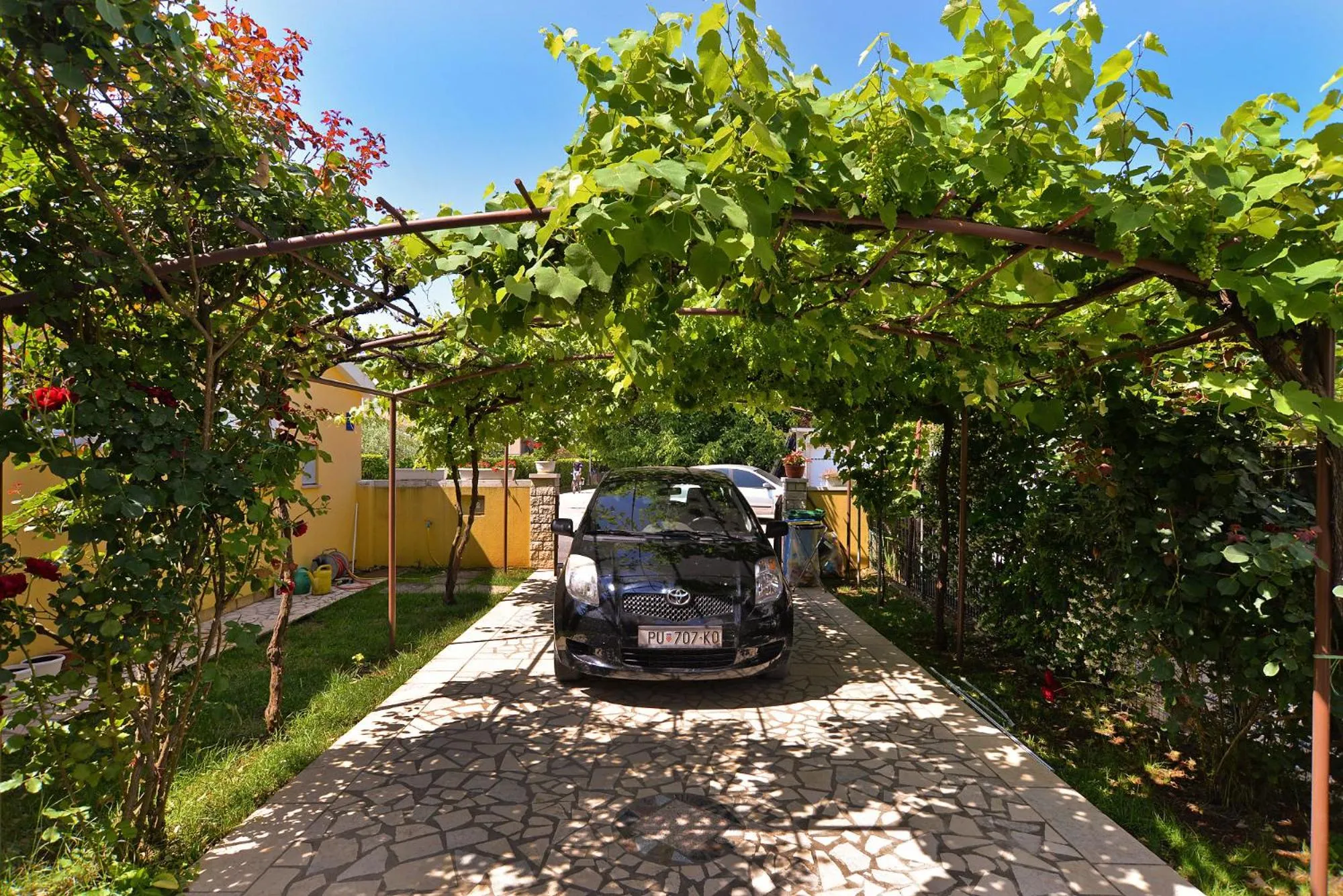 Apartments Milena 436