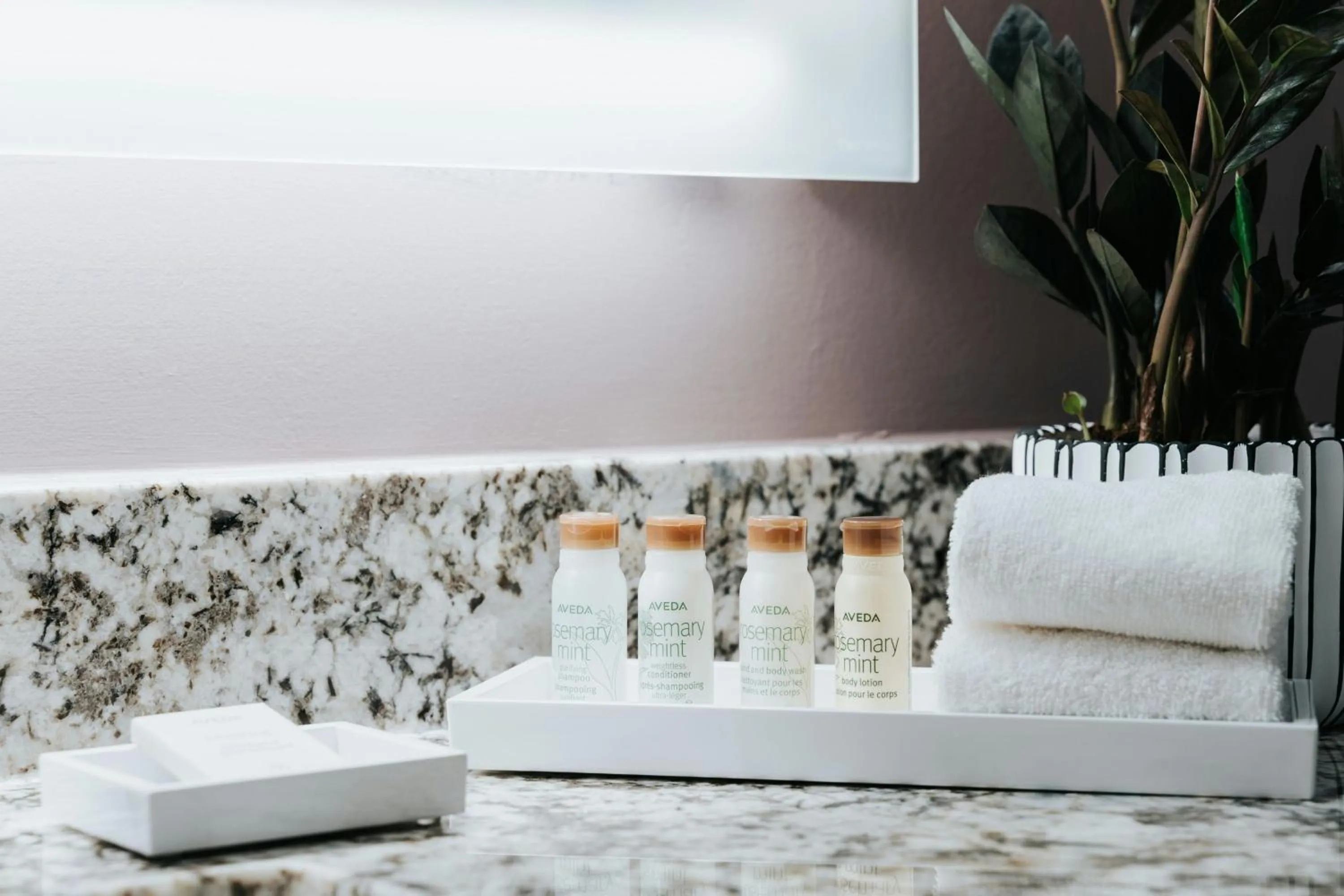 Photo of the whole room in Renaissance Saint Elm Dallas Downtown Hotel