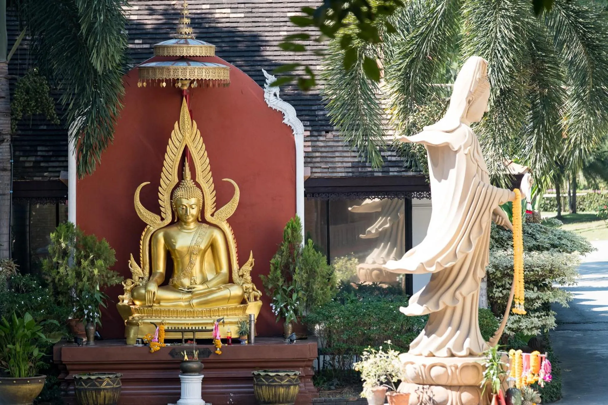 Garden view in NIM SEE SENG Hotel