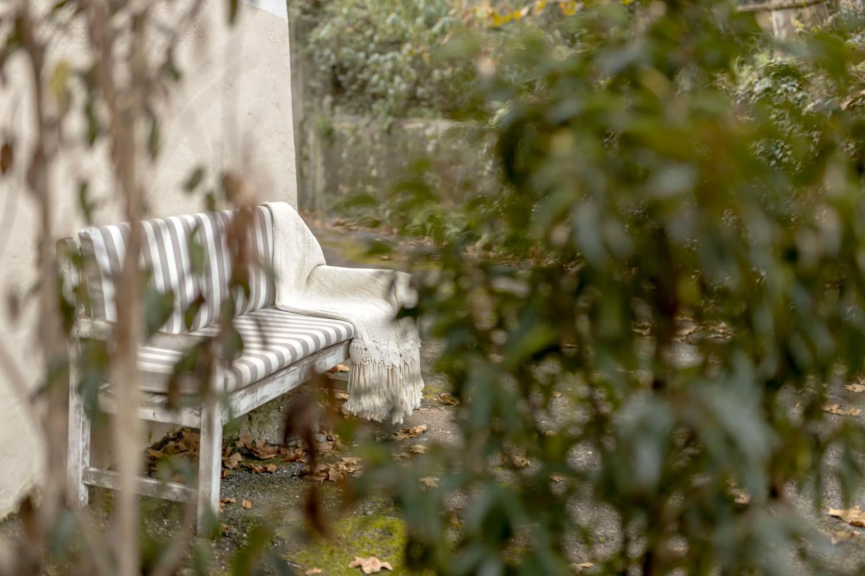 Day in Casa da Estefânea